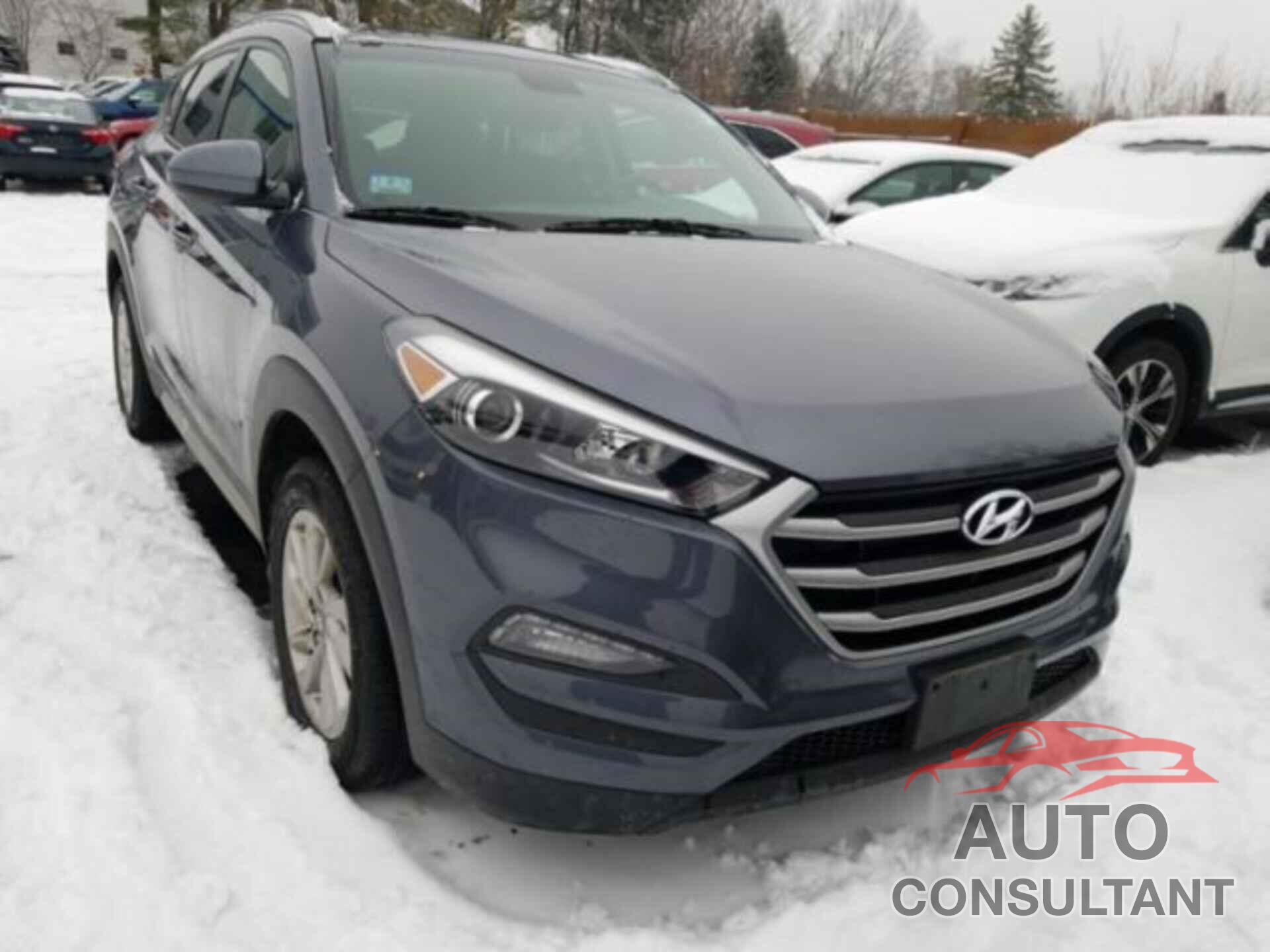 HYUNDAI TUCSON 2017 - KM8J3CA41HU499650