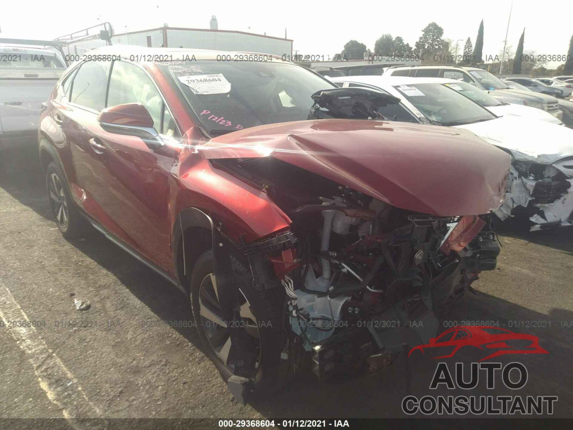 LEXUS NX 2020 - JTJDARBZ2L5006529