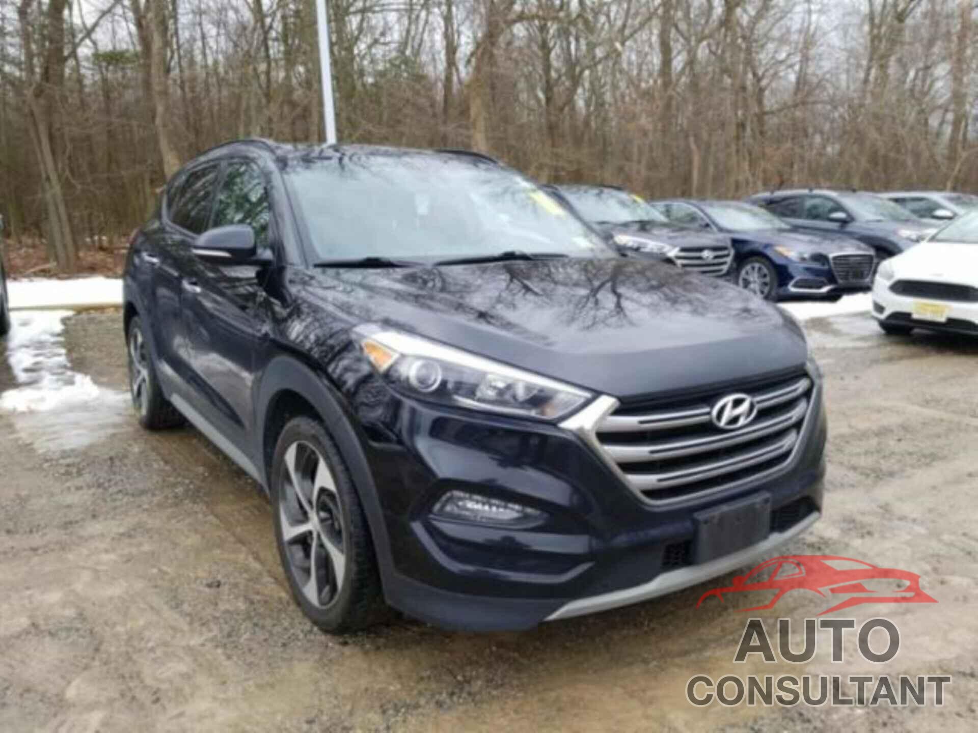 HYUNDAI TUCSON 2017 - KM8J3CA23HU596735