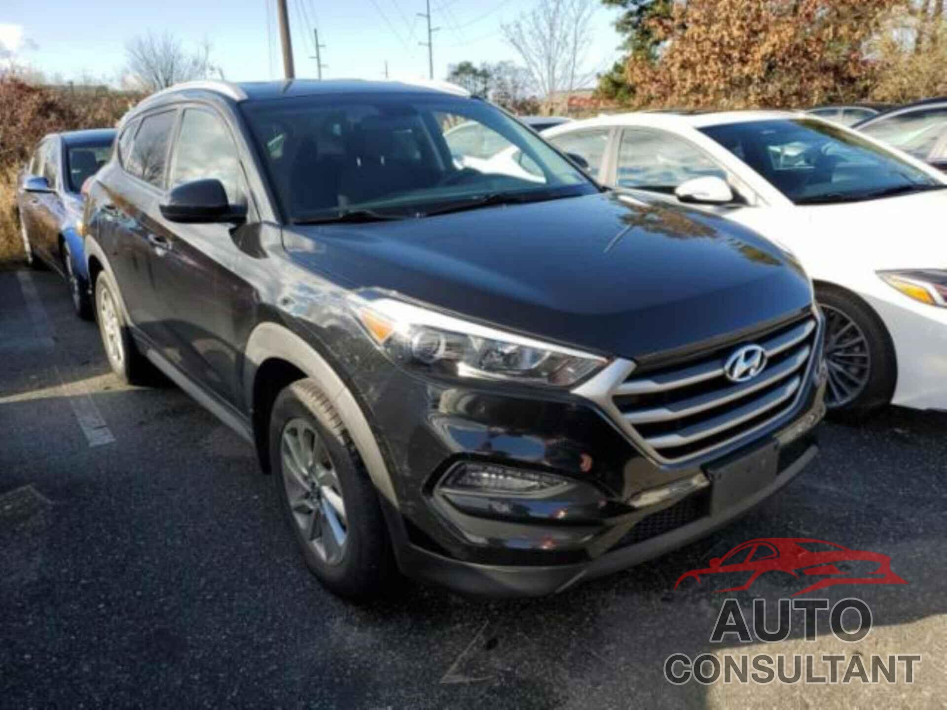 HYUNDAI TUCSON 2017 - KM8J3CA41HU566280
