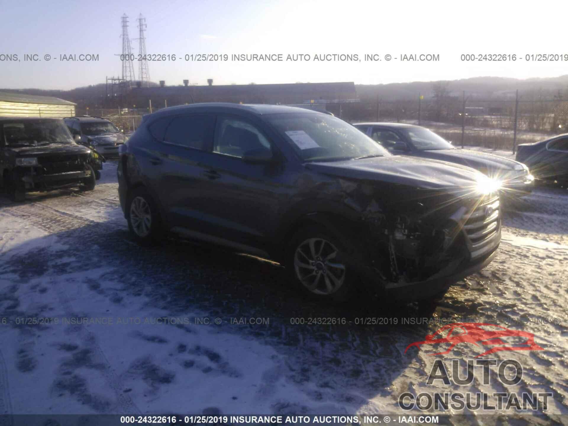 HYUNDAI TUCSON 2017 - KM8J3CA40HU453856