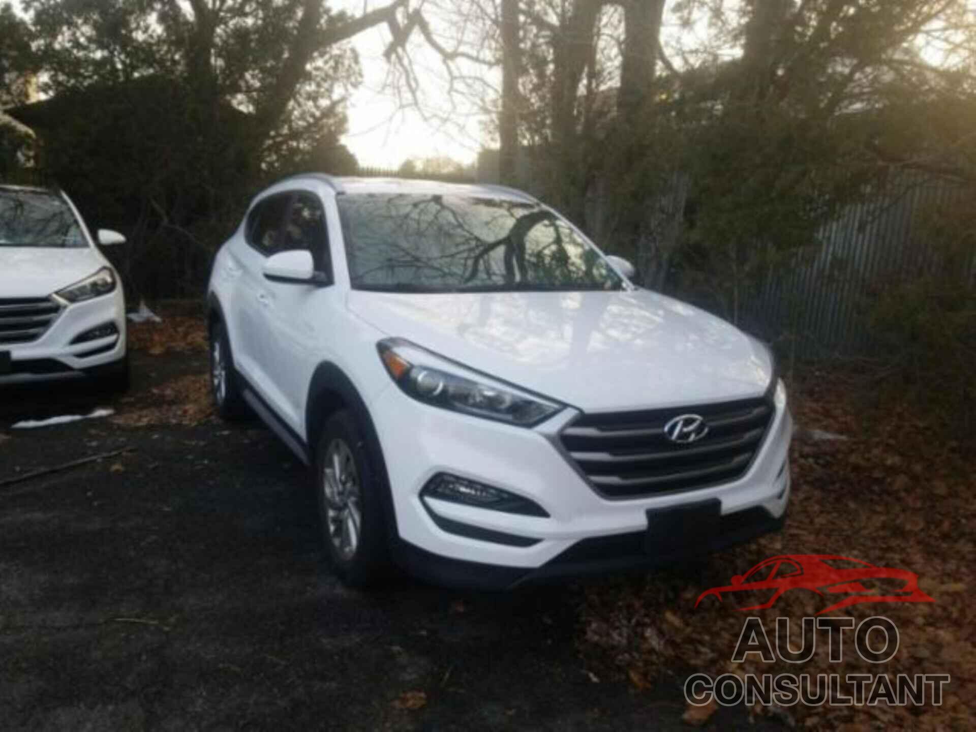 HYUNDAI TUCSON 2017 - KM8J3CA45HU585608