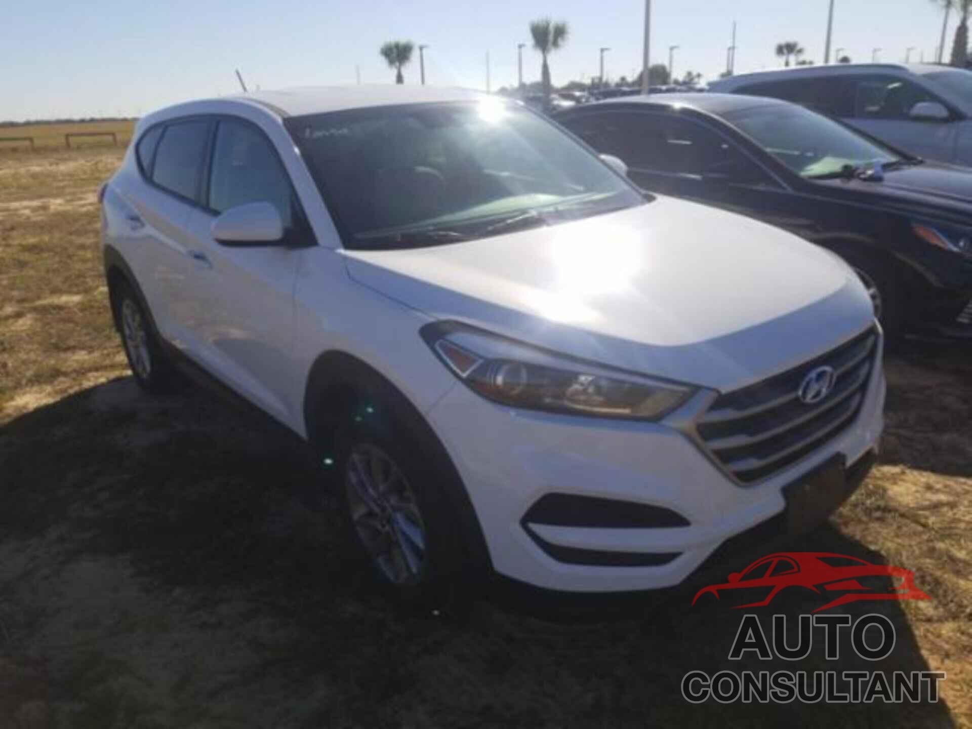 HYUNDAI TUCSON 2018 - KM8J23A49JU618912