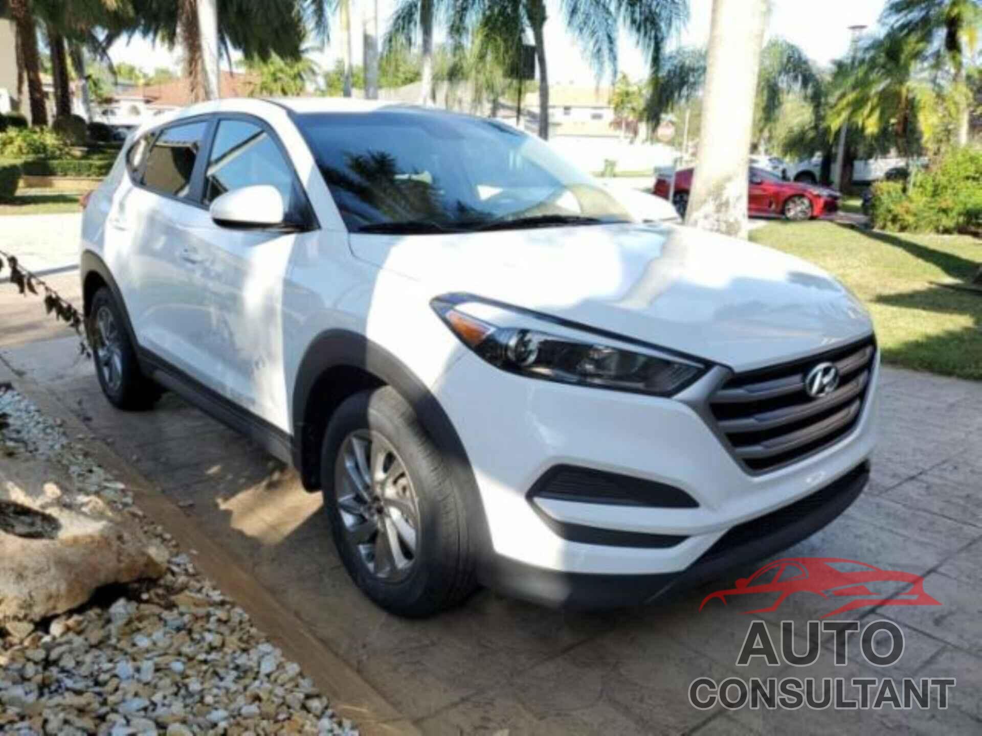 HYUNDAI TUCSON 2017 - KM8J23A44HU568267
