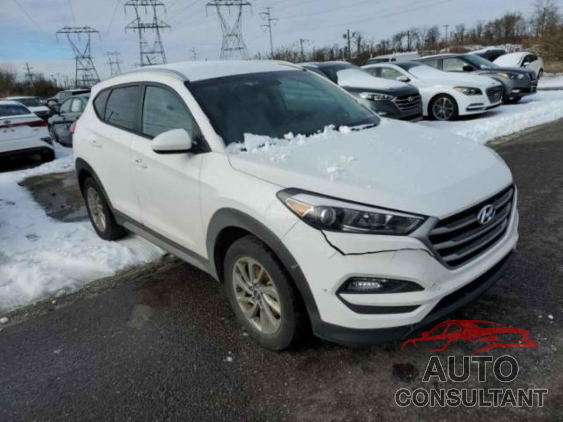 HYUNDAI TUCSON 2017 - KM8J3CA41HU566375