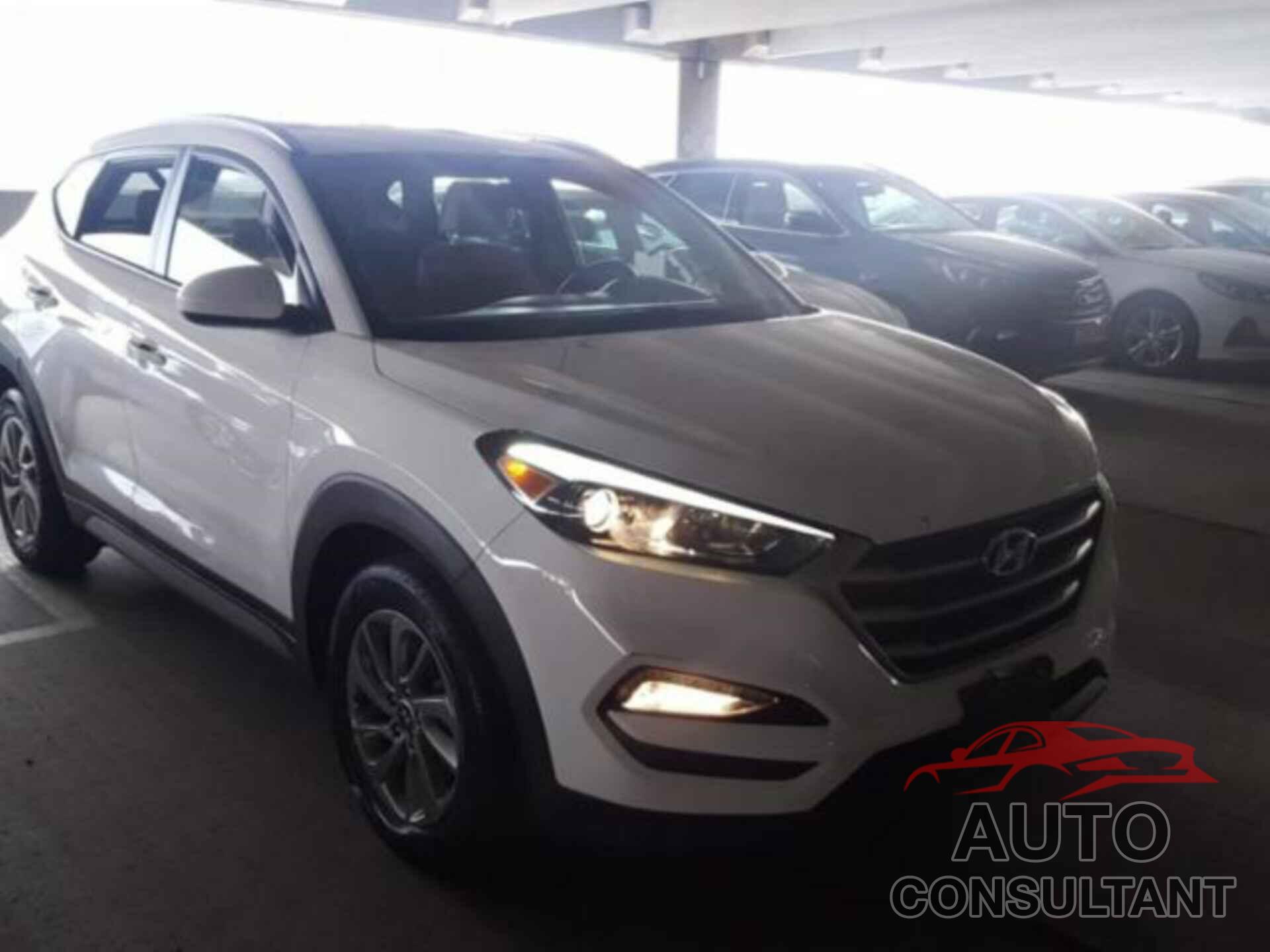 HYUNDAI TUCSON 2017 - KM8J3CA43HU557824
