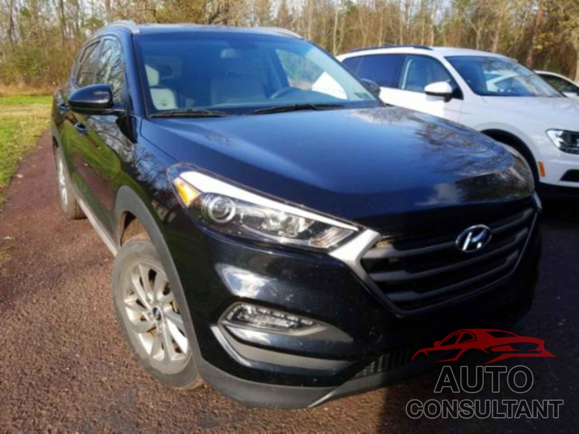 HYUNDAI TUCSON 2017 - KM8J3CA42HU436881