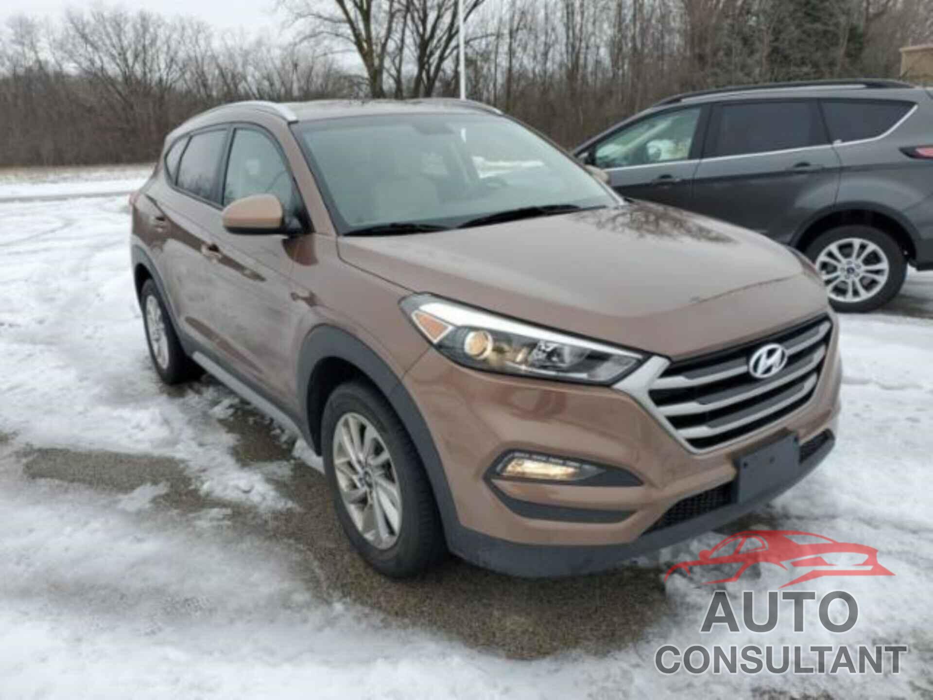 HYUNDAI TUCSON 2017 - KM8J3CA43HU548167
