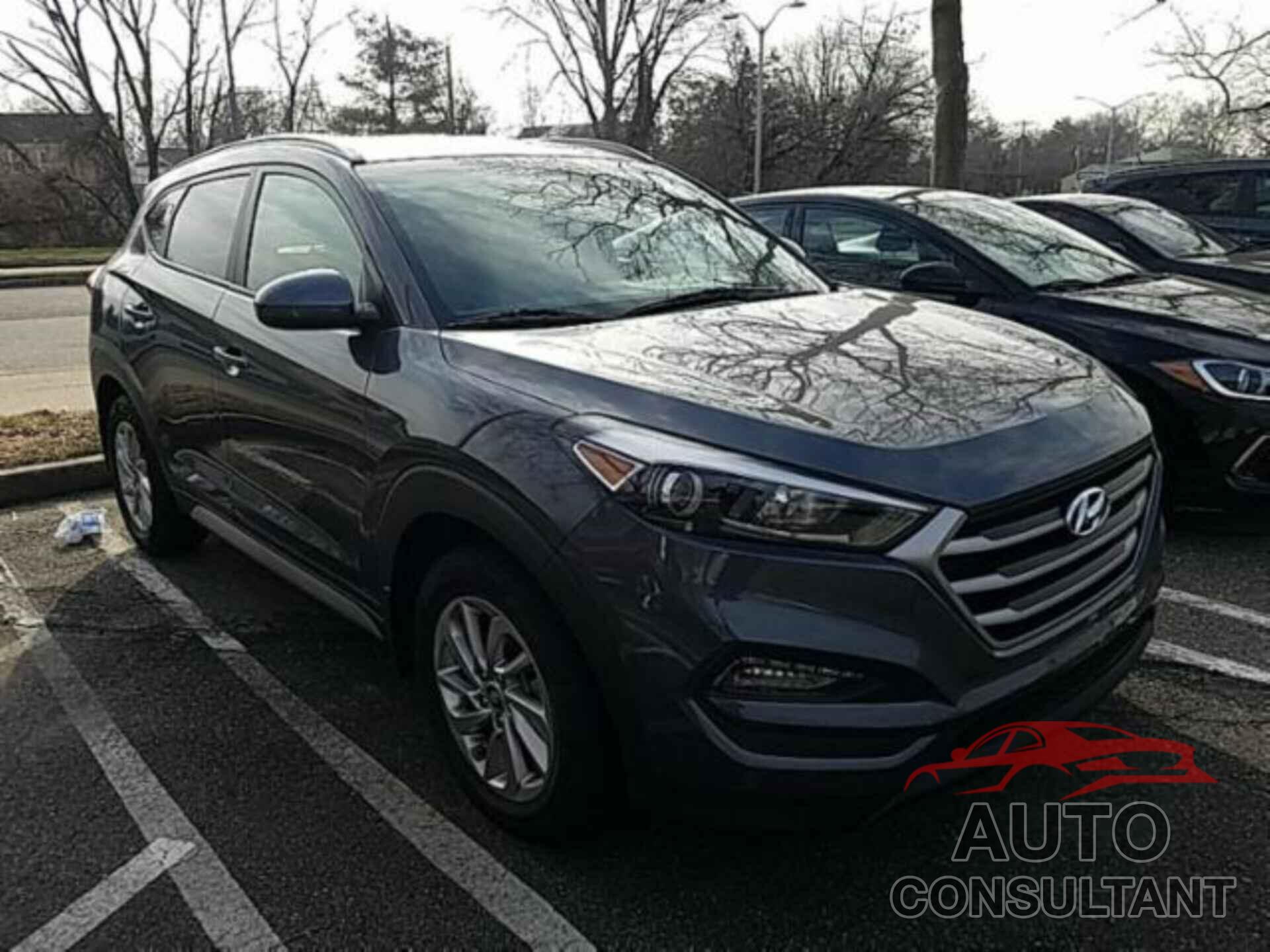 HYUNDAI TUCSON 2017 - KM8J3CA46HU564878