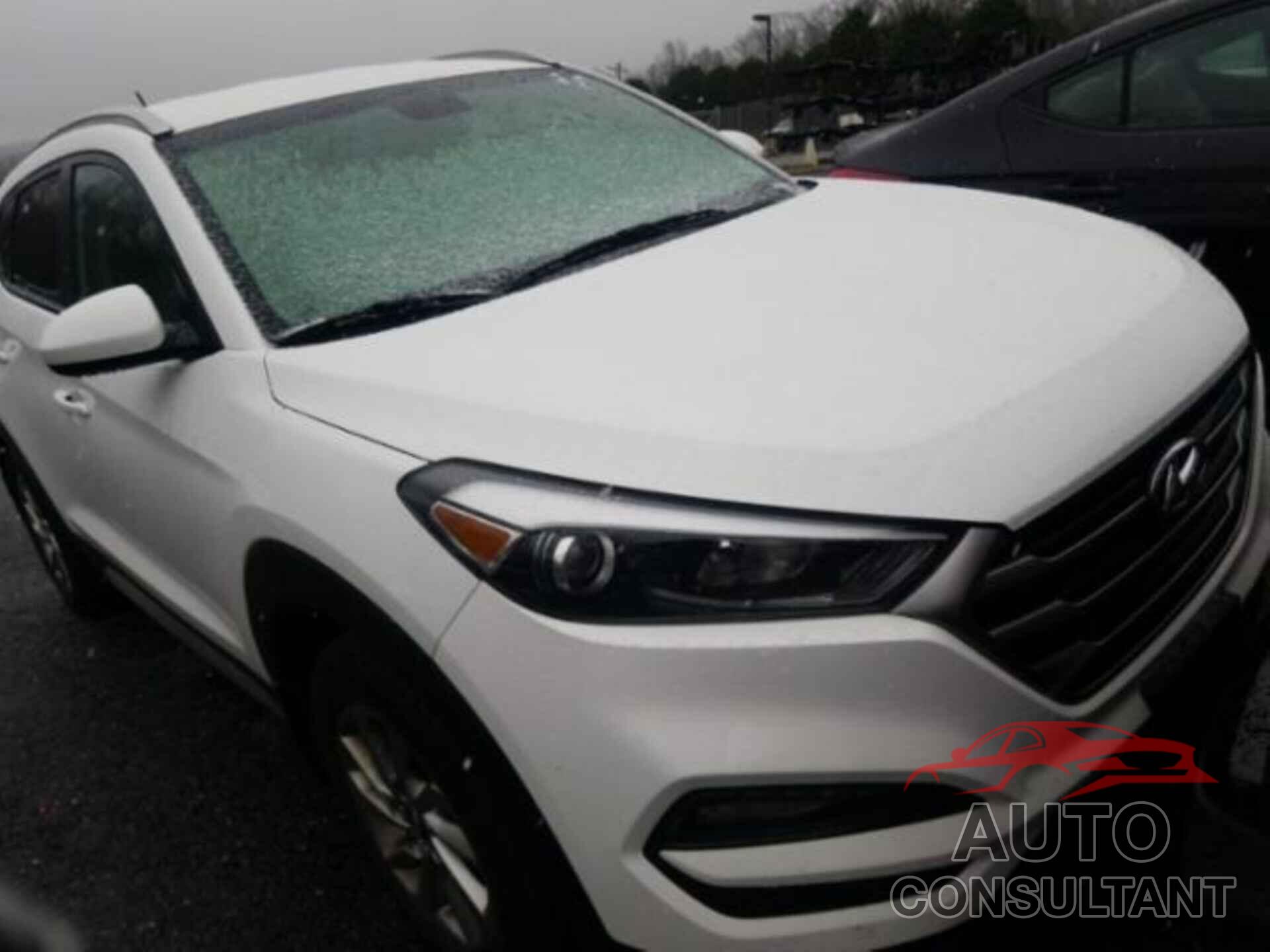 HYUNDAI TUCSON 2017 - KM8J3CA49HU588429