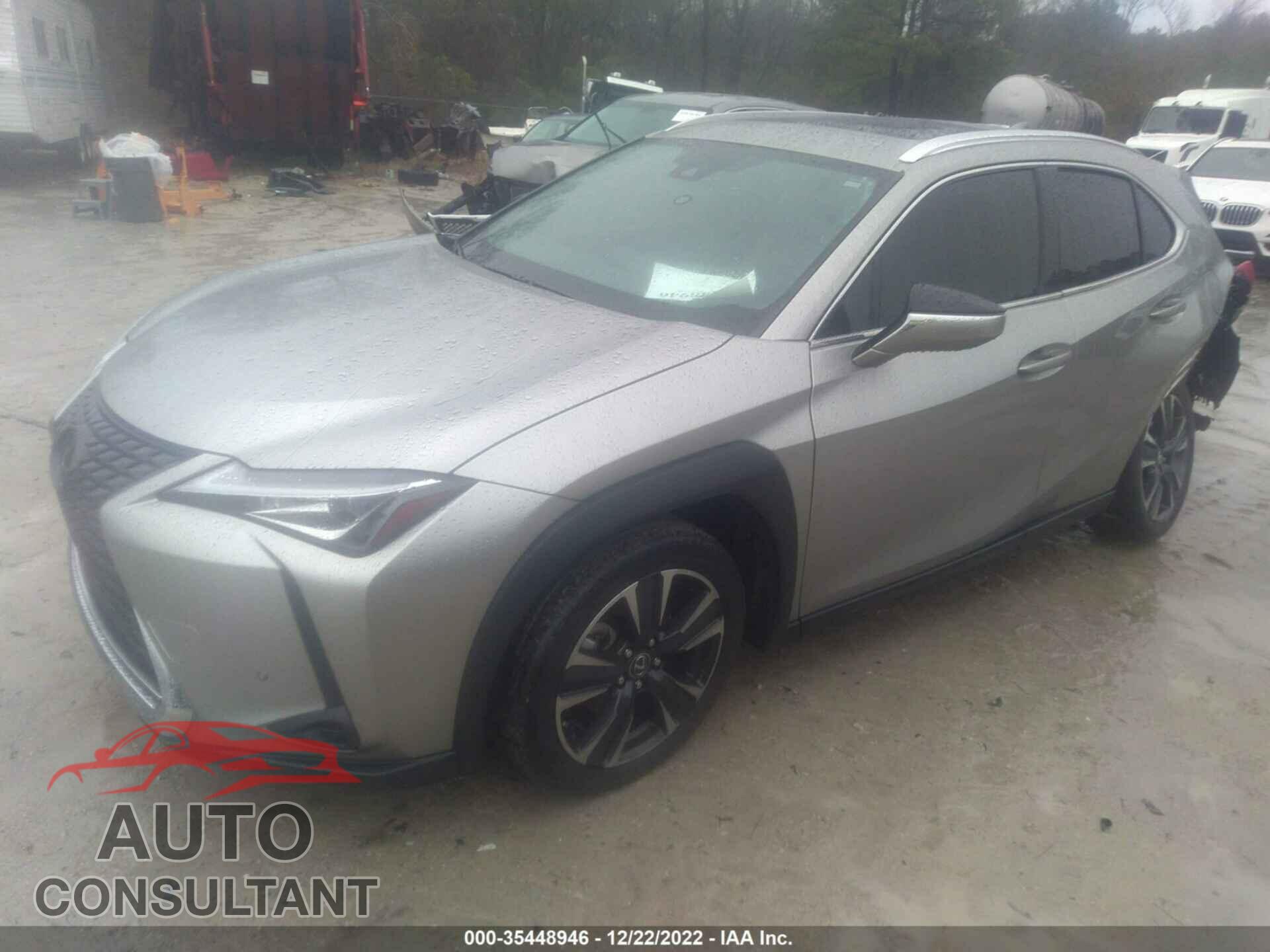 LEXUS UX 2019 - JTHY3JBH5K2007227