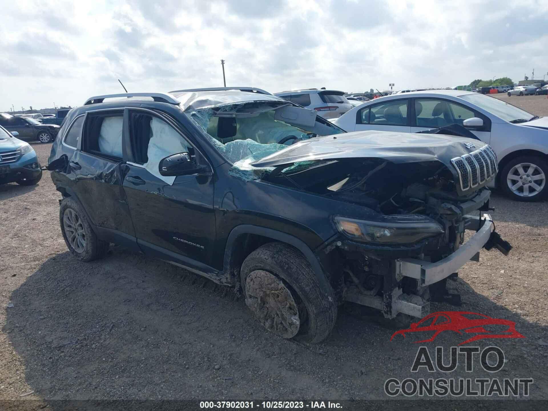 JEEP CHEROKEE 2019 - 1C4PJLLB2KD151458