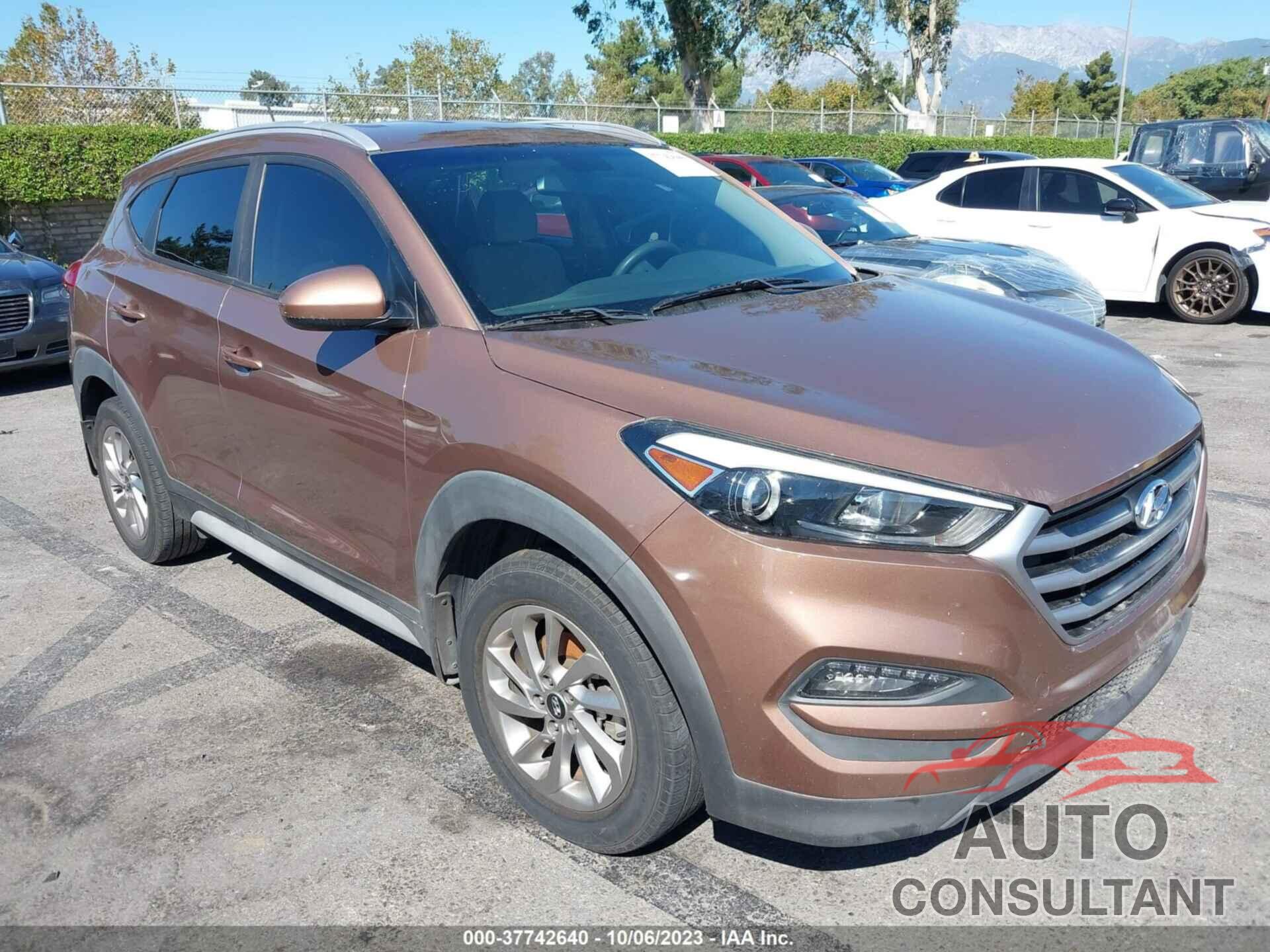 HYUNDAI TUCSON 2017 - KM8J33A41HU563637