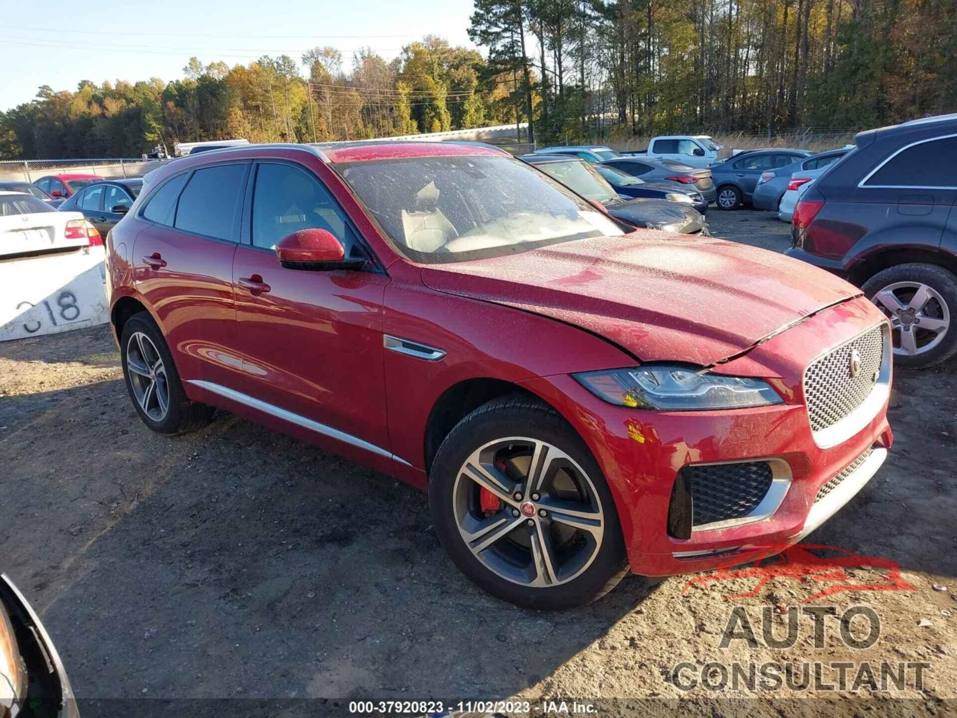 JAGUAR F-PACE 2019 - SADCM2FV5KA351732