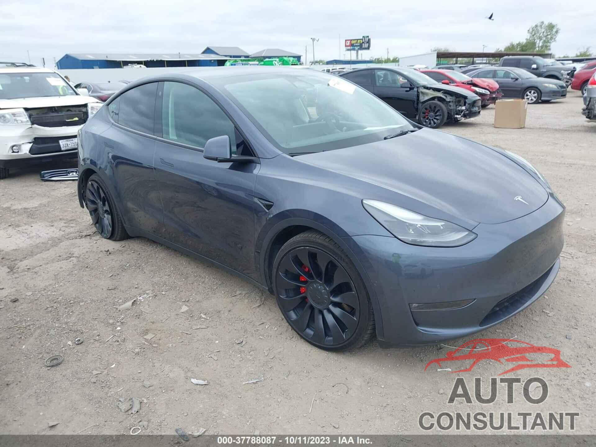 TESLA MODEL Y 2022 - 7SAYGDEF4NF501102