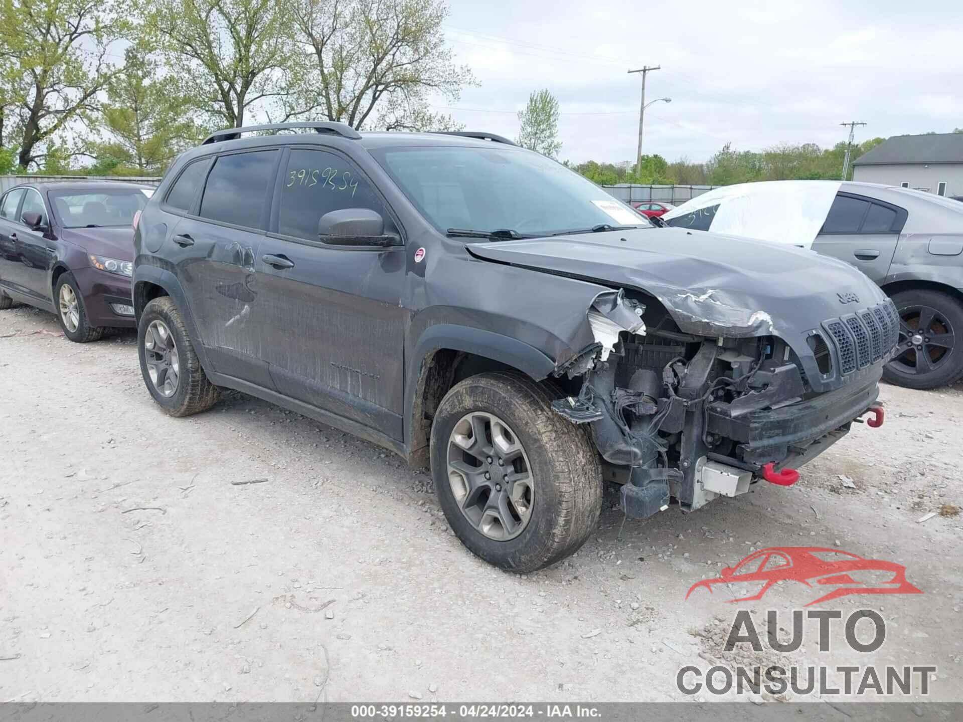 JEEP CHEROKEE 2019 - 1C4PJMBX5KD310783