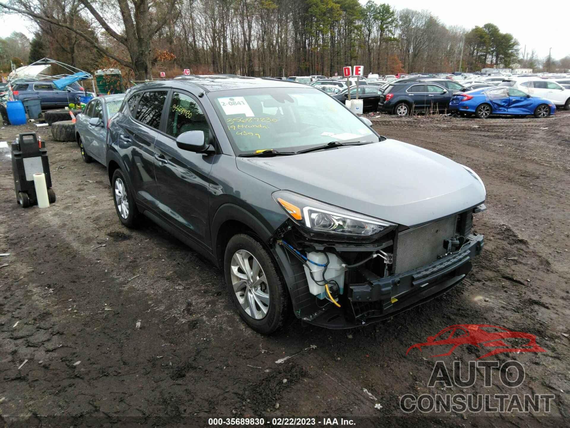 HYUNDAI TUCSON 2019 - KM8J2CA47KU012865