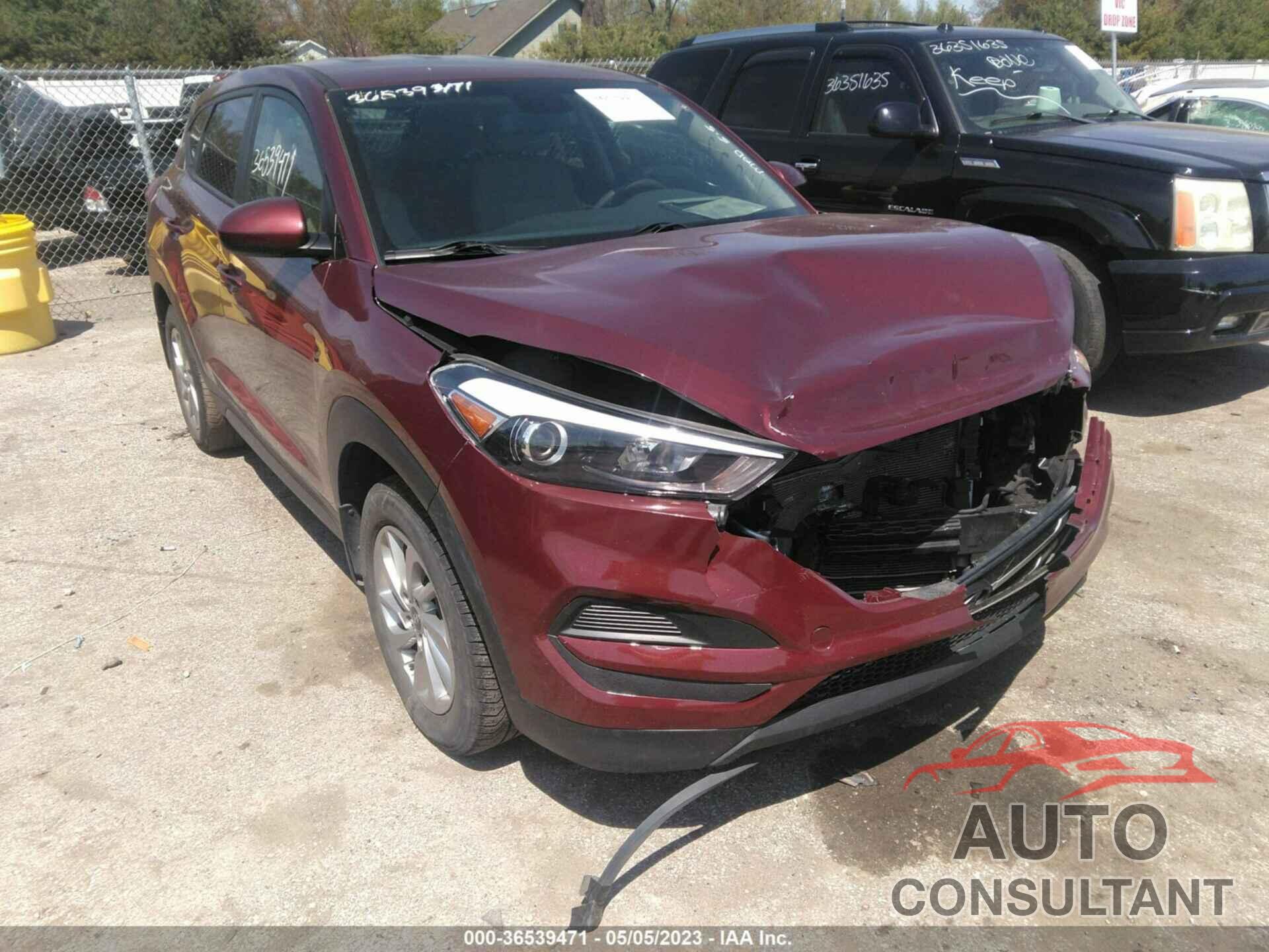 HYUNDAI TUCSON 2017 - KM8J23A41HU475884