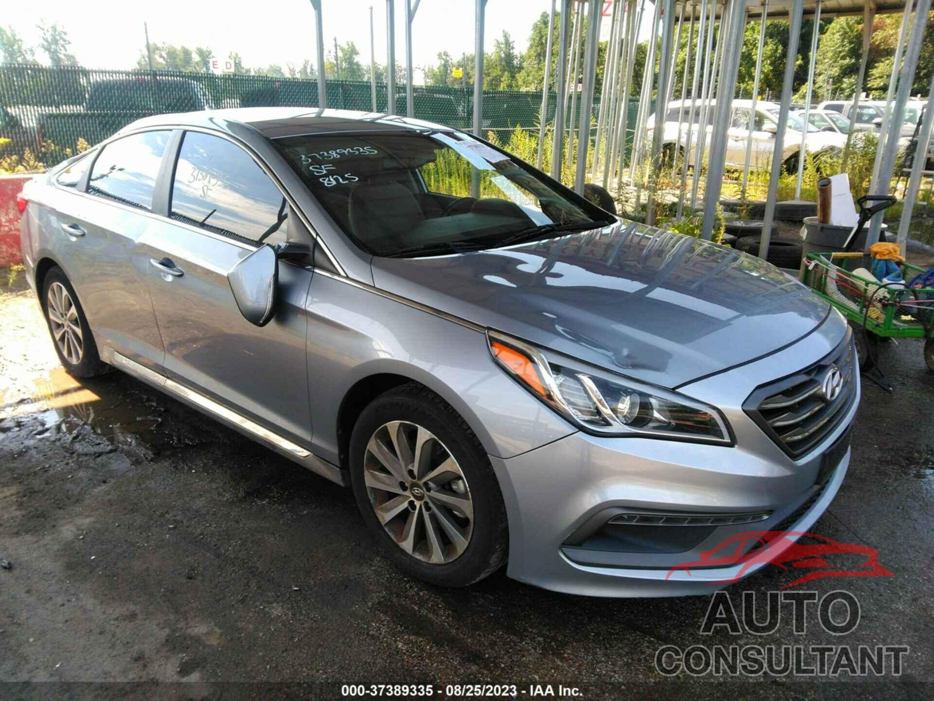 HYUNDAI SONATA 2016 - 5NPE34AF9GH293272