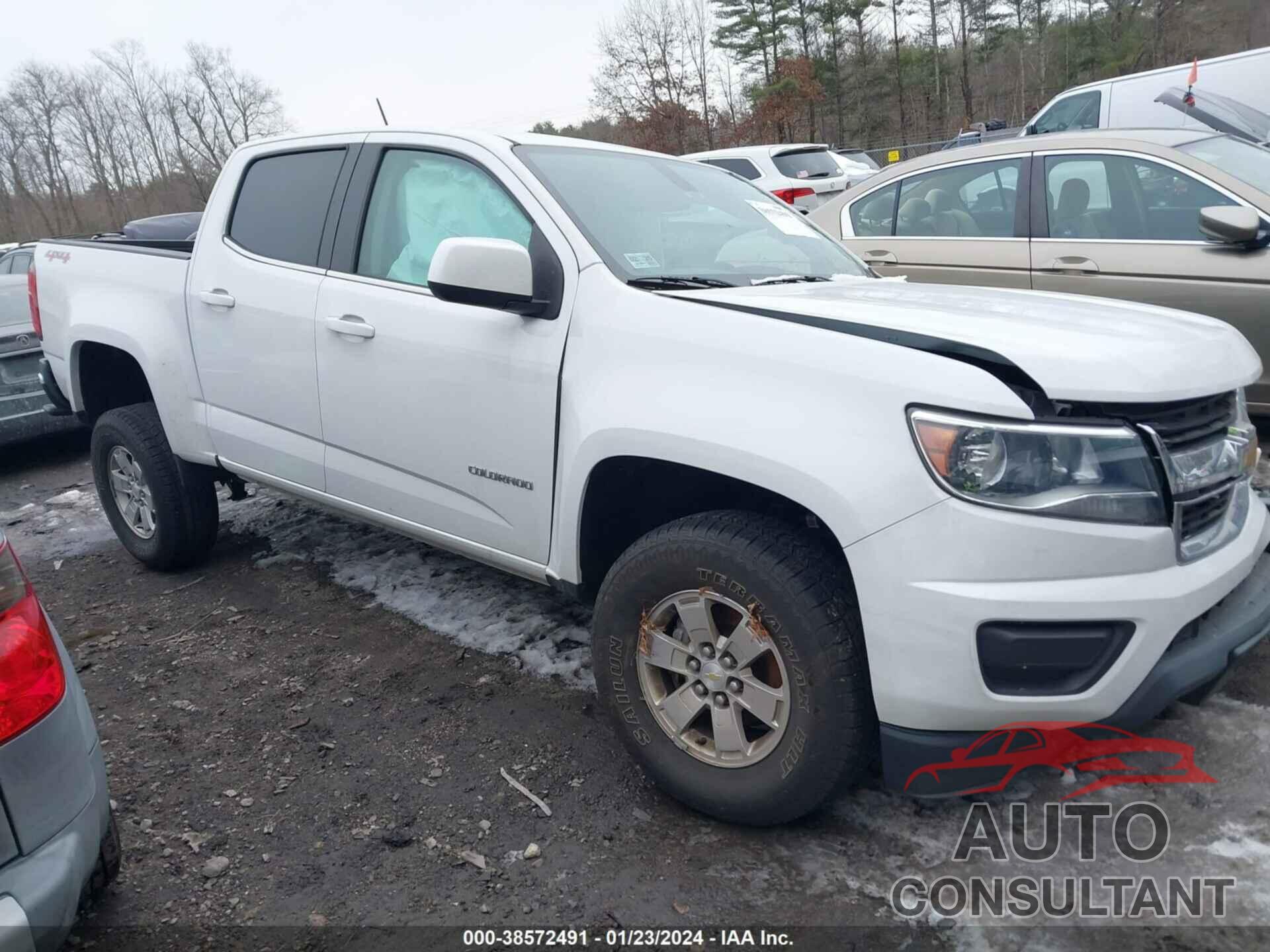 CHEVROLET COLORADO 2019 - 1GCGTBEN3K1132351