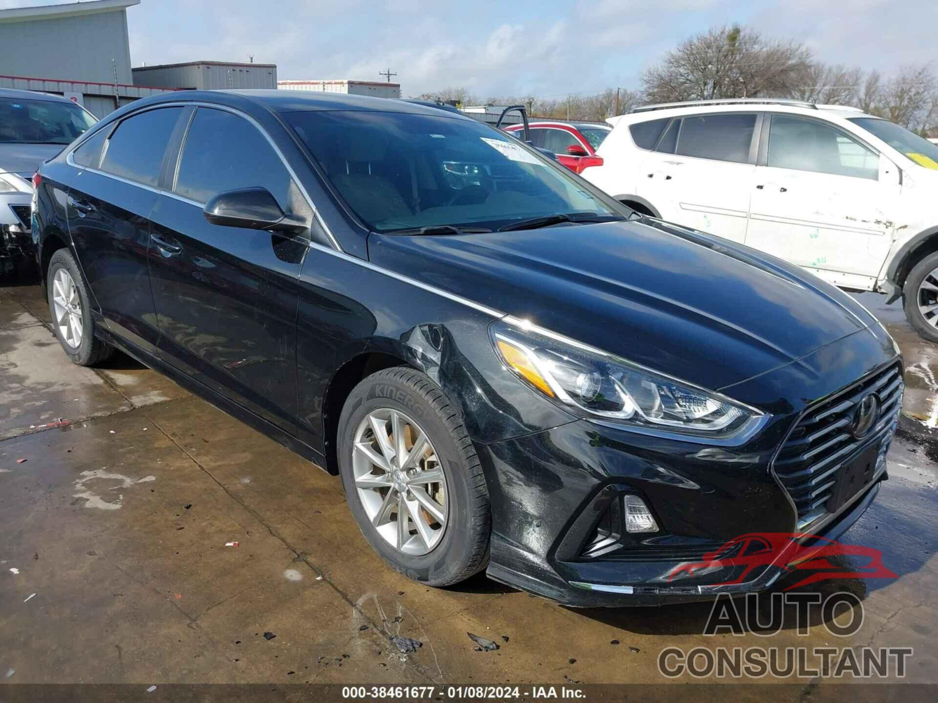HYUNDAI SONATA 2019 - 5NPE24AF0KH789072