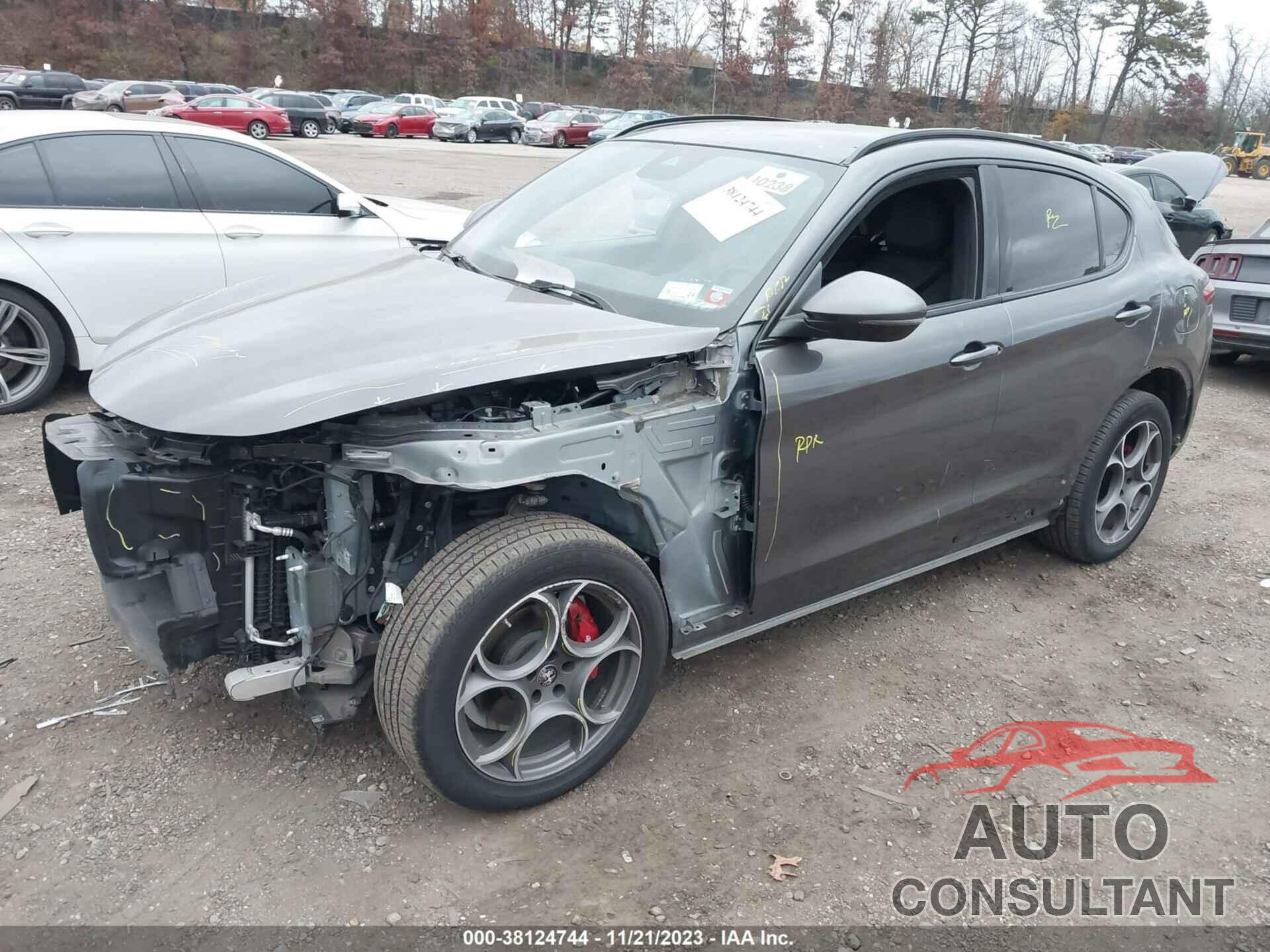 ALFA ROMEO STELVIO 2022 - ZASPAKBN9N7D44867