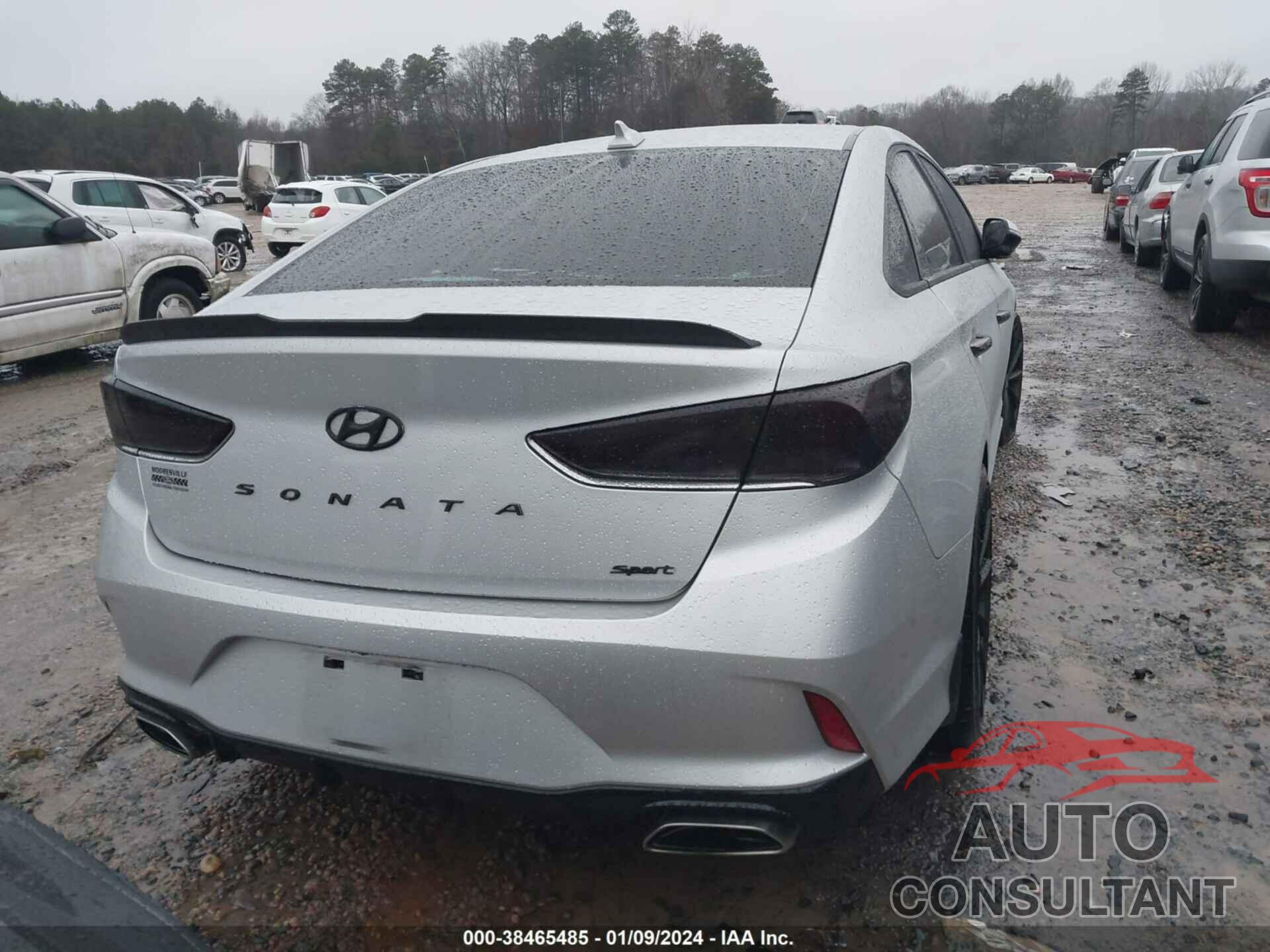 HYUNDAI SONATA 2019 - 5NPE34AFXKH804433