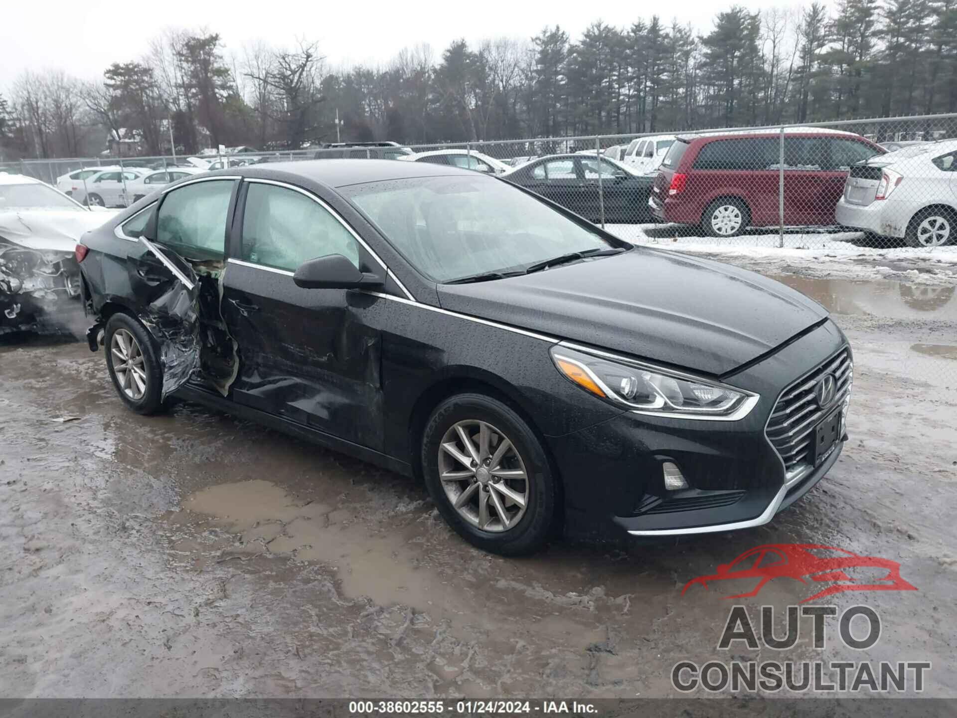 HYUNDAI SONATA 2019 - 5NPE24AF1KH760244