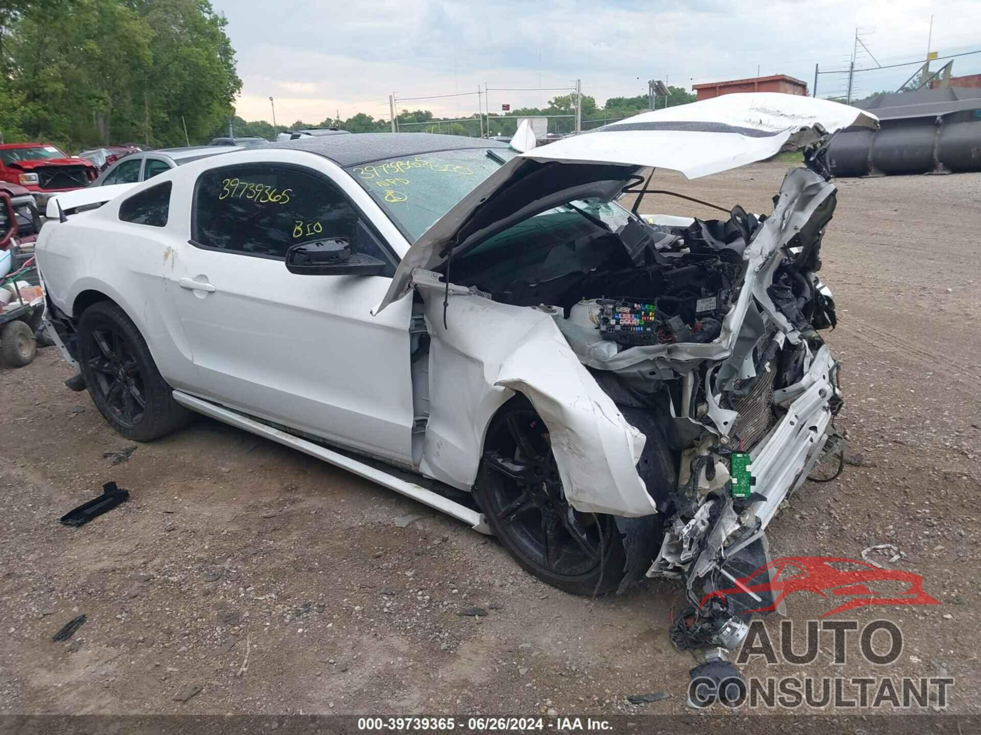 FORD MUSTANG 2014 - 1ZVBP8AM6E5261774