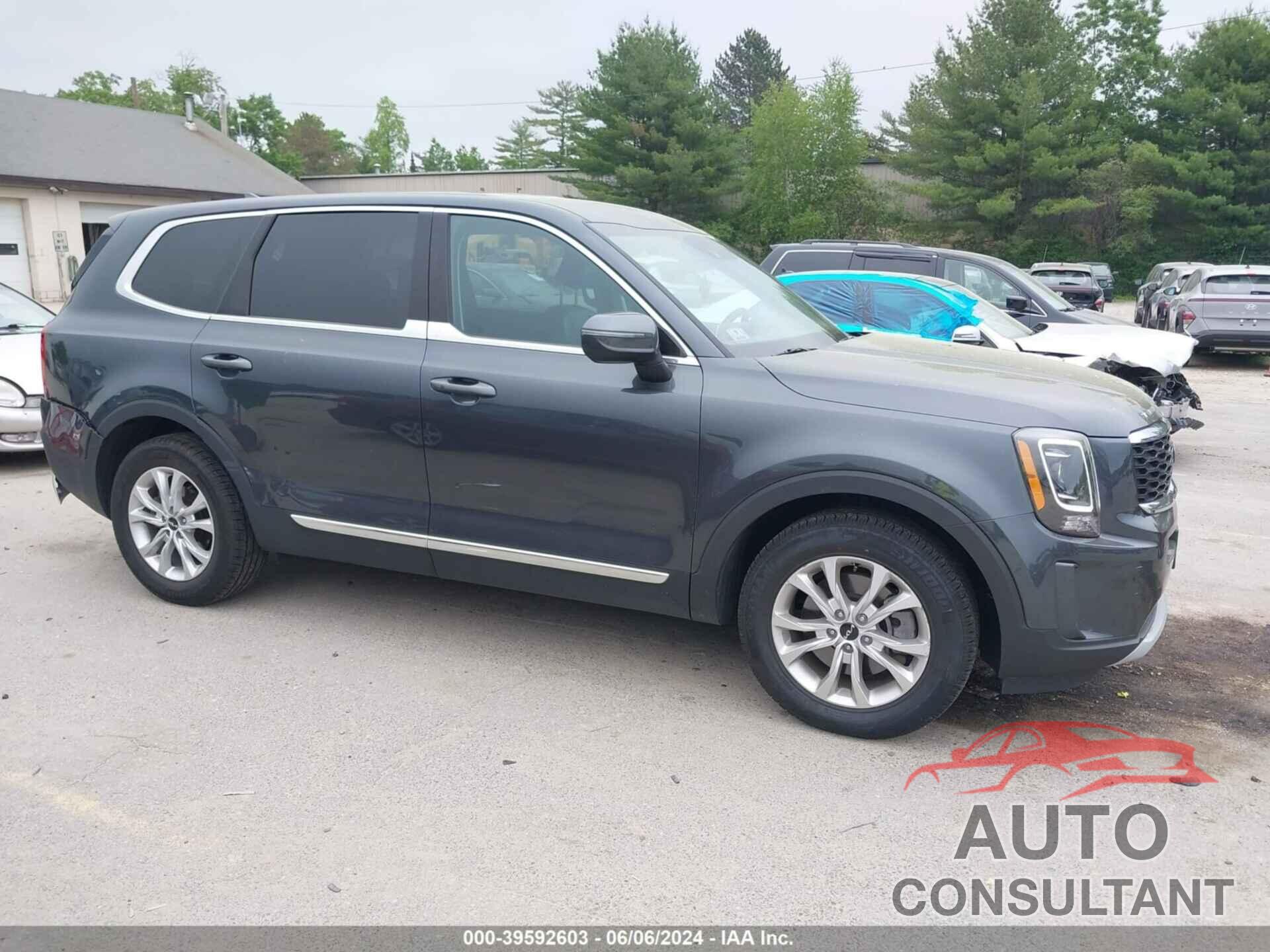 KIA TELLURIDE 2022 - 5XYP2DHCXNG310222