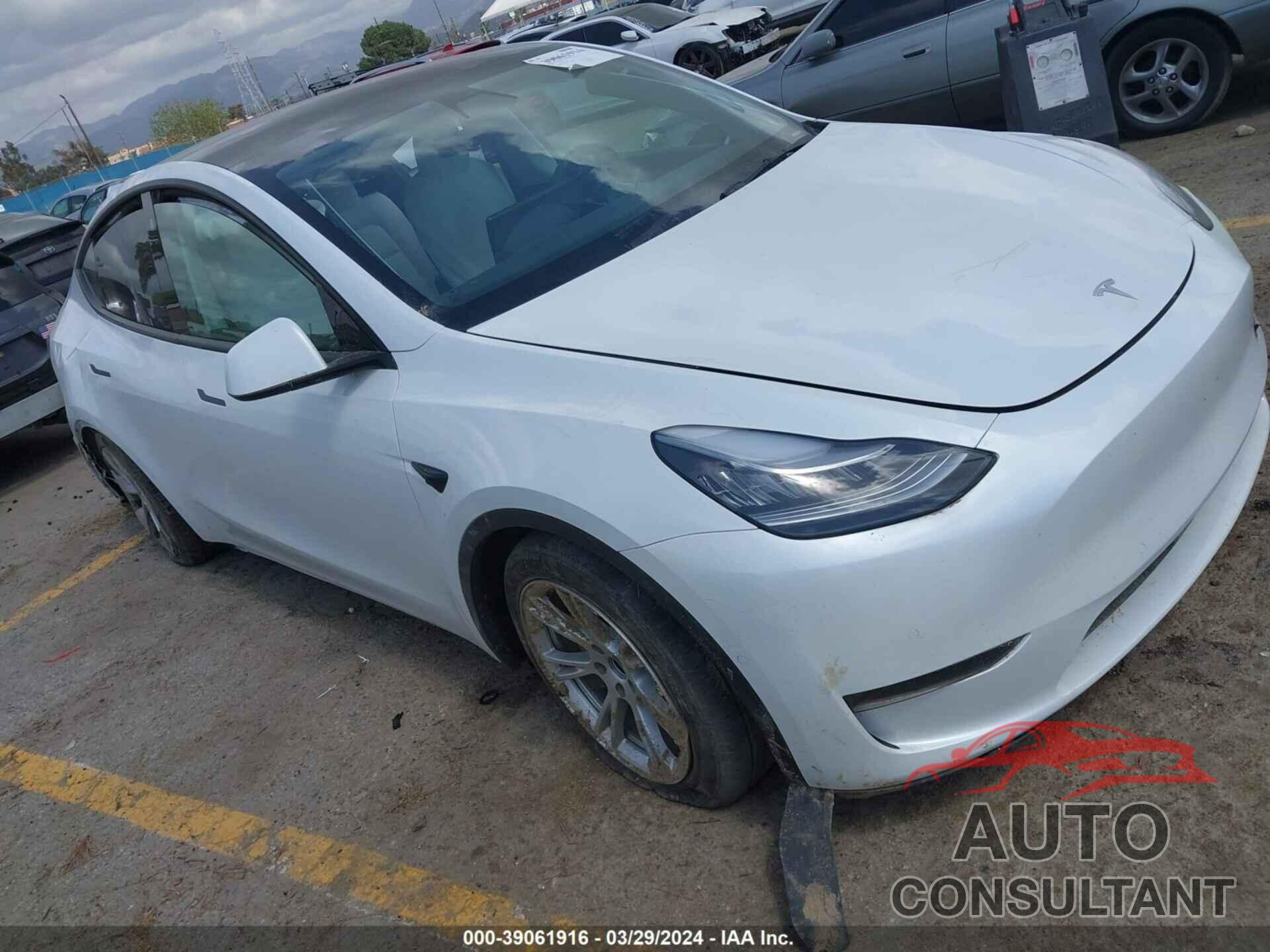 TESLA MODEL Y 2021 - 5YJYGDEE3MF090939