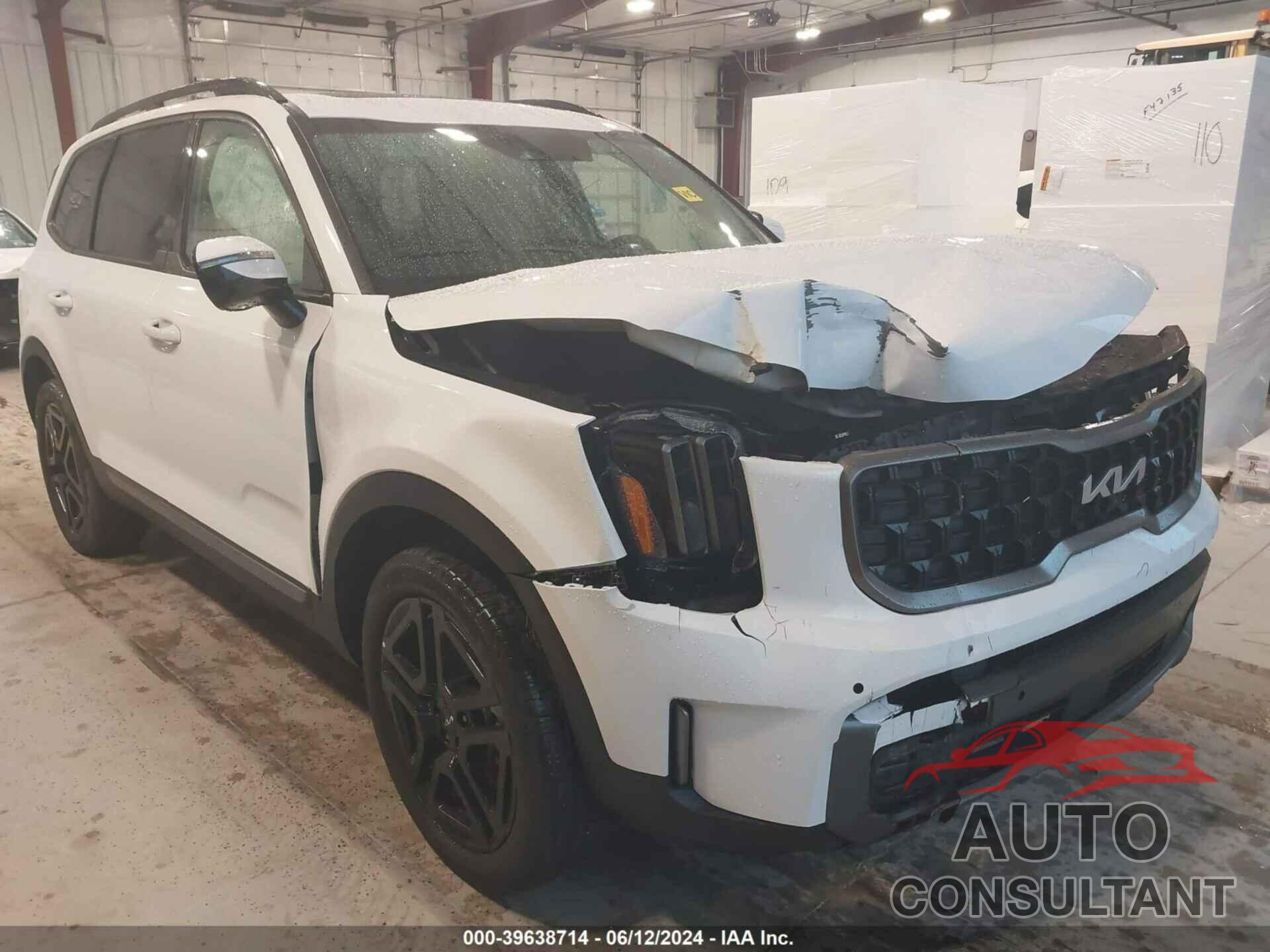 KIA TELLURIDE 2023 - 5XYP5DGC3PG327102