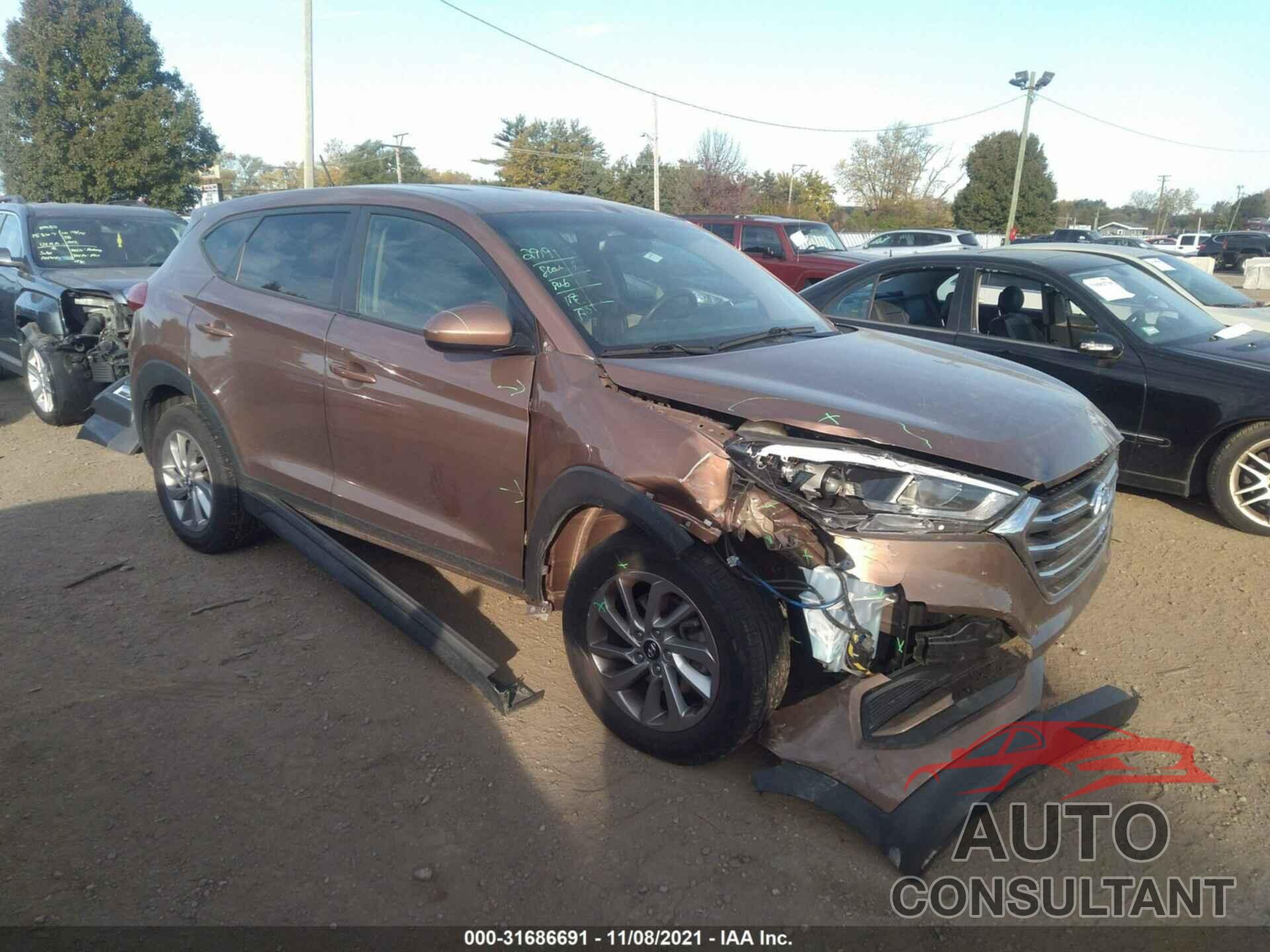 HYUNDAI TUCSON 2017 - KM8J23A45HU537304