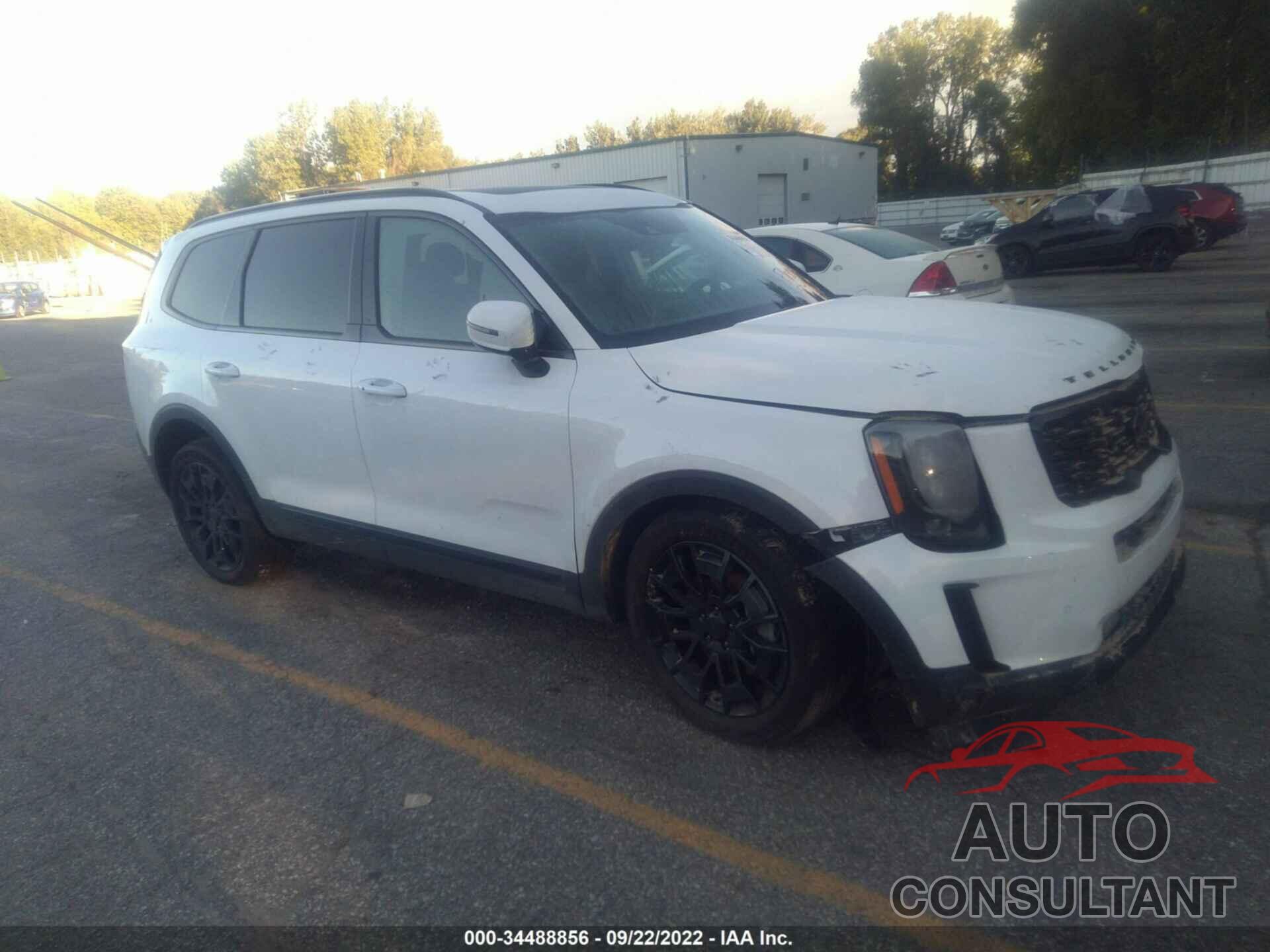 KIA TELLURIDE 2021 - 5XYP5DHC1MG168896