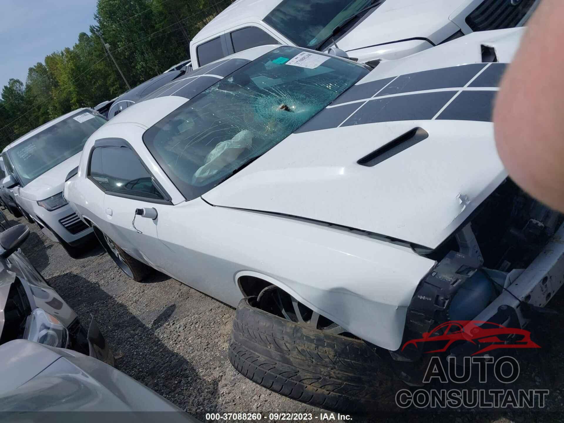 DODGE CHALLENGER 2016 - 2C3CDZAGXGH145848