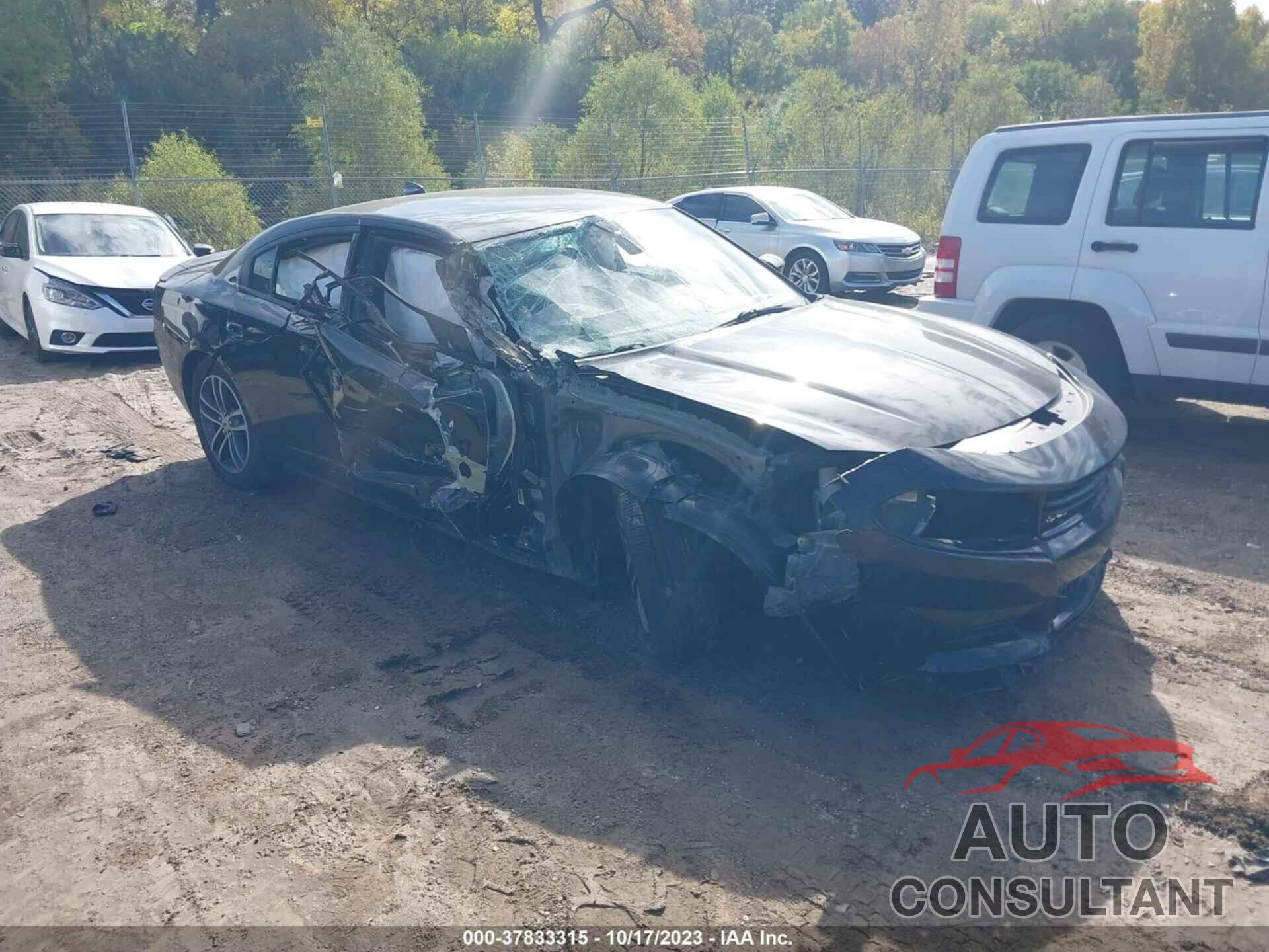 DODGE CHARGER 2019 - 2C3CDXJG7KH533245