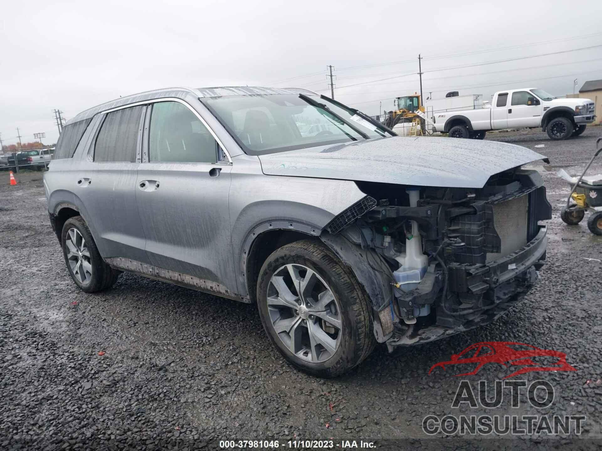 HYUNDAI PALISADE 2020 - KM8R3DHE9LU133645