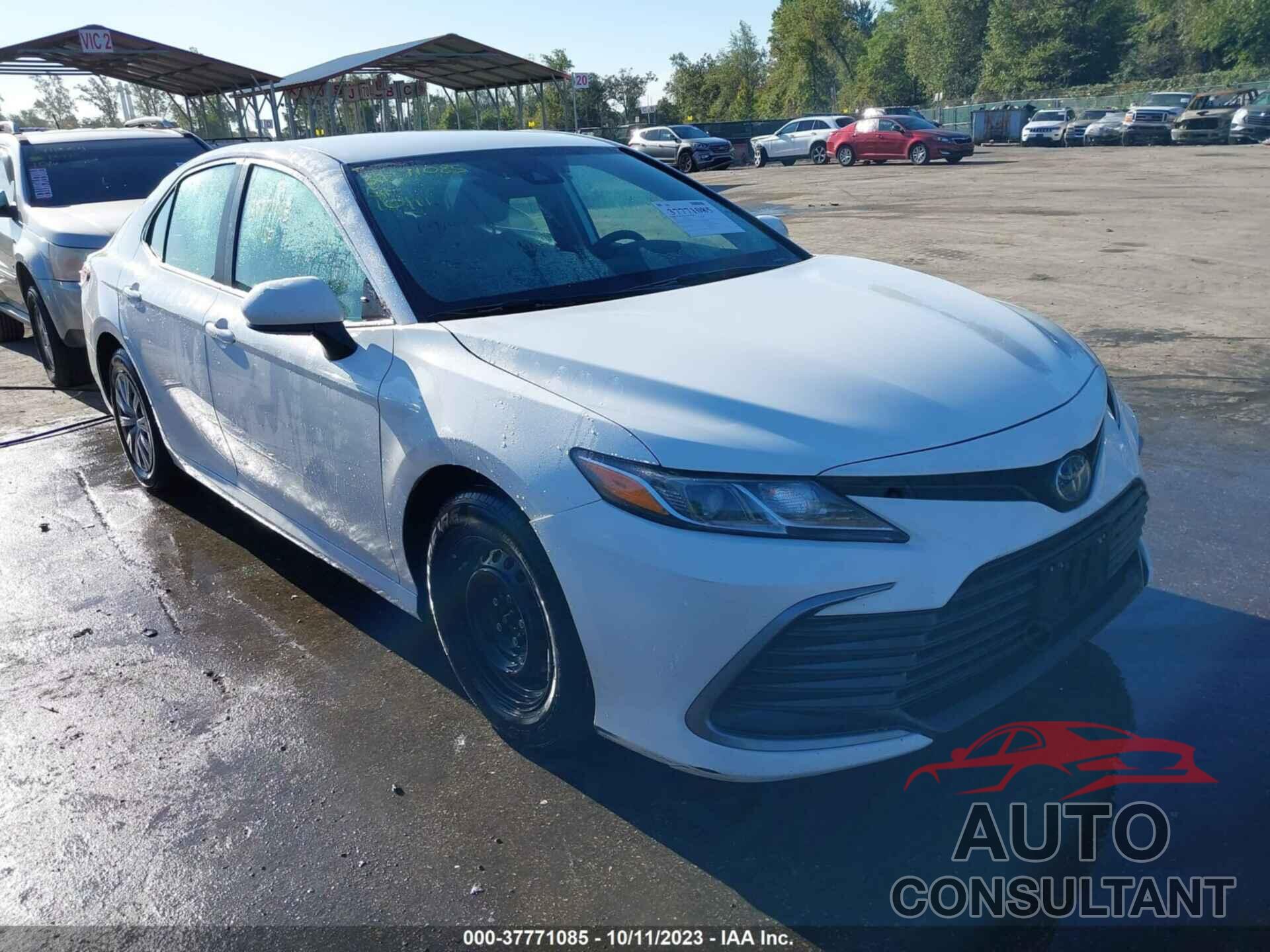 TOYOTA CAMRY 2022 - 4T1C31AK7NU038511