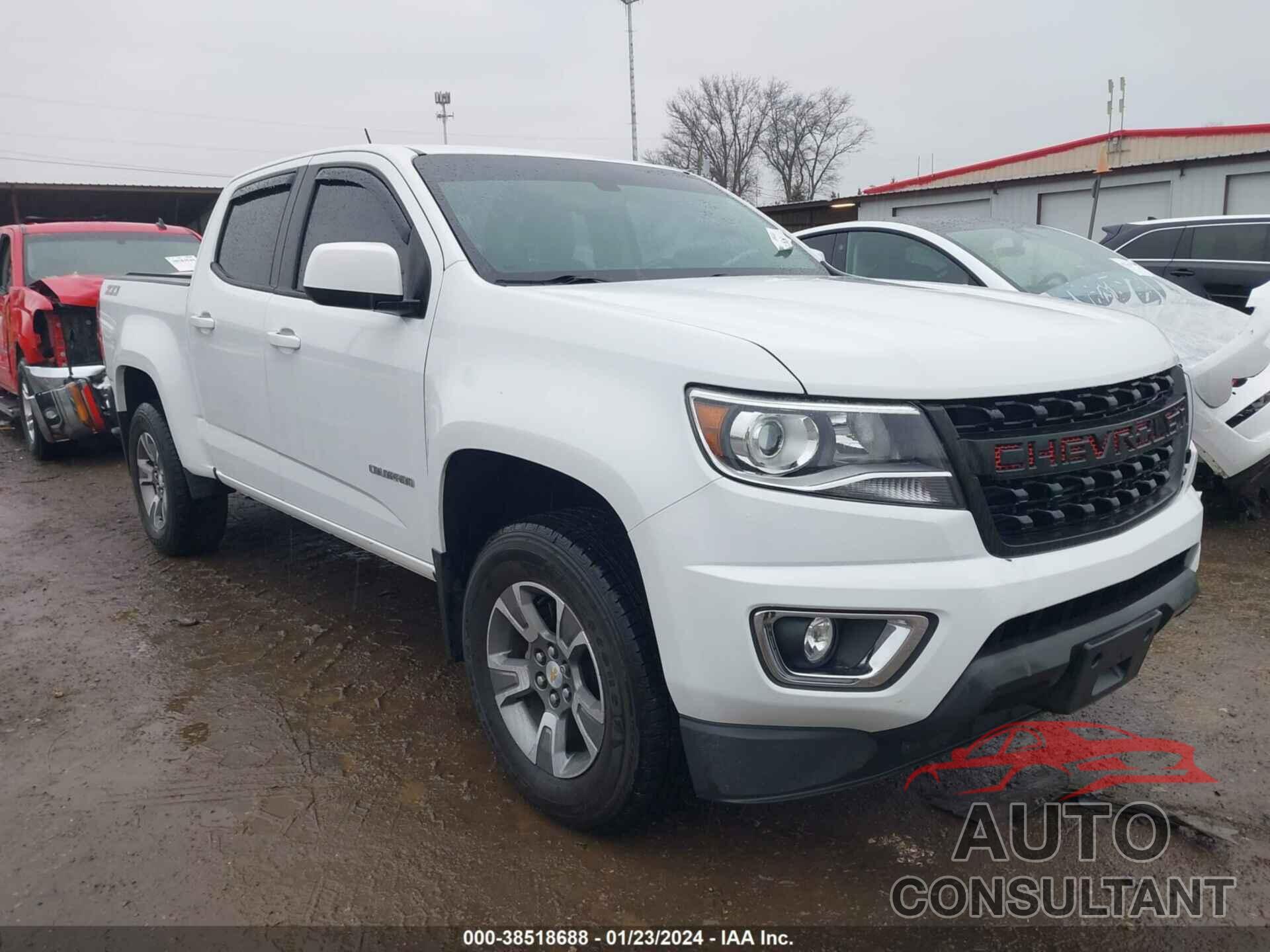 CHEVROLET COLORADO 2019 - 1GCGTDEN0K1315380