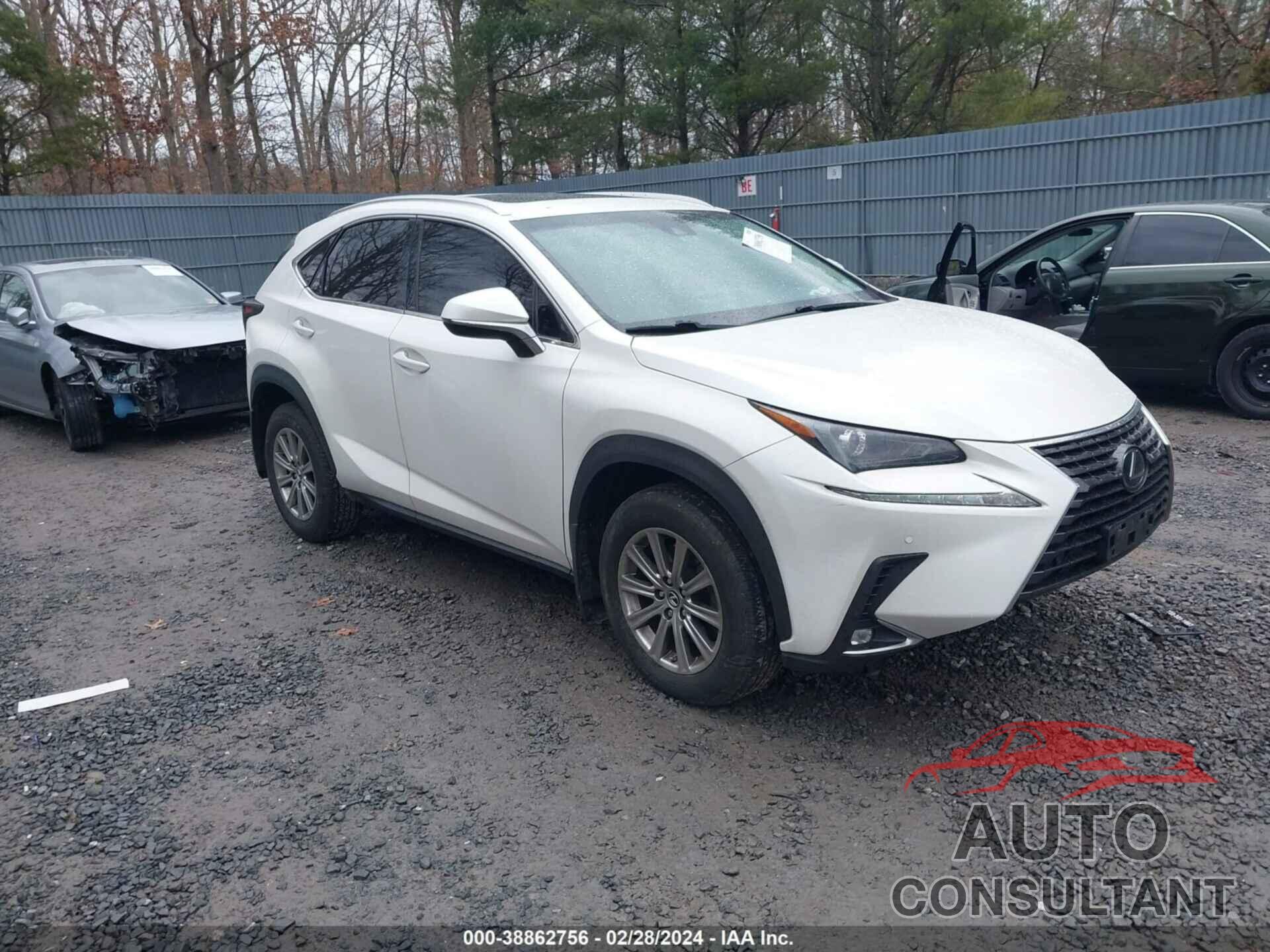 LEXUS NX 300 2019 - JTJBARBZ0K2203951