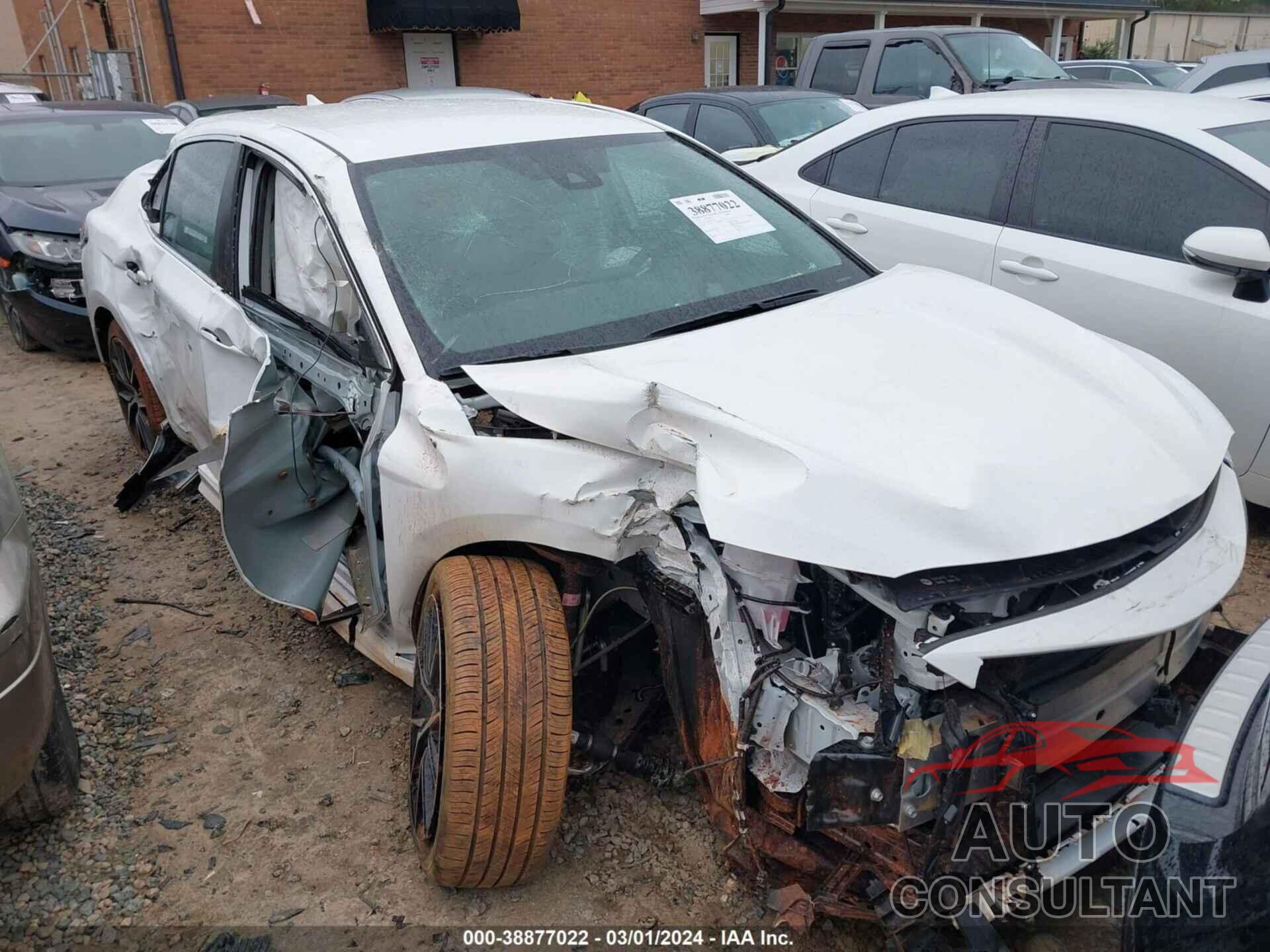 TOYOTA CAMRY 2024 - 4T1T11AK3RU842719