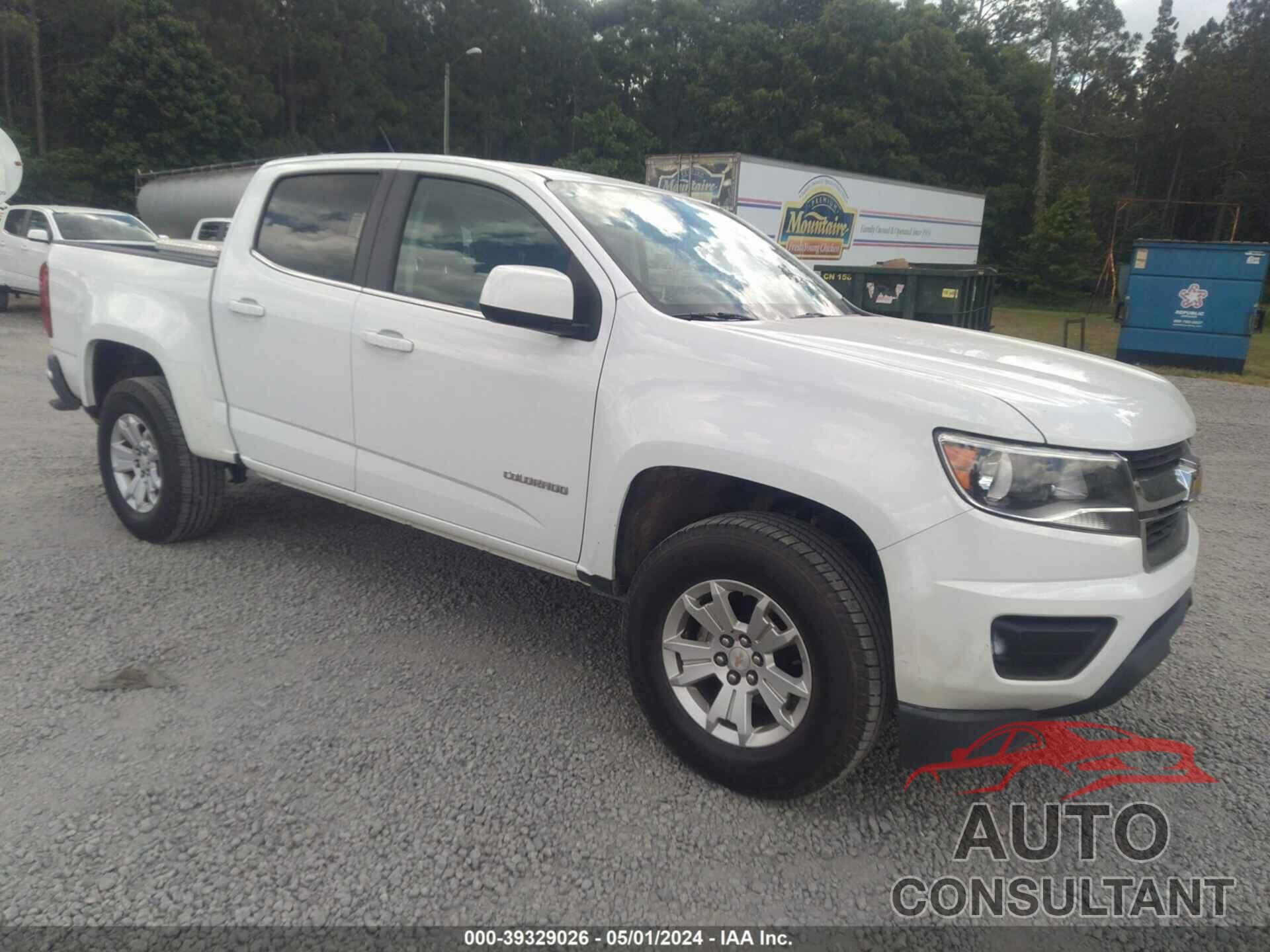 CHEVROLET COLORADO 2019 - 1GCGSCEN6K1105041