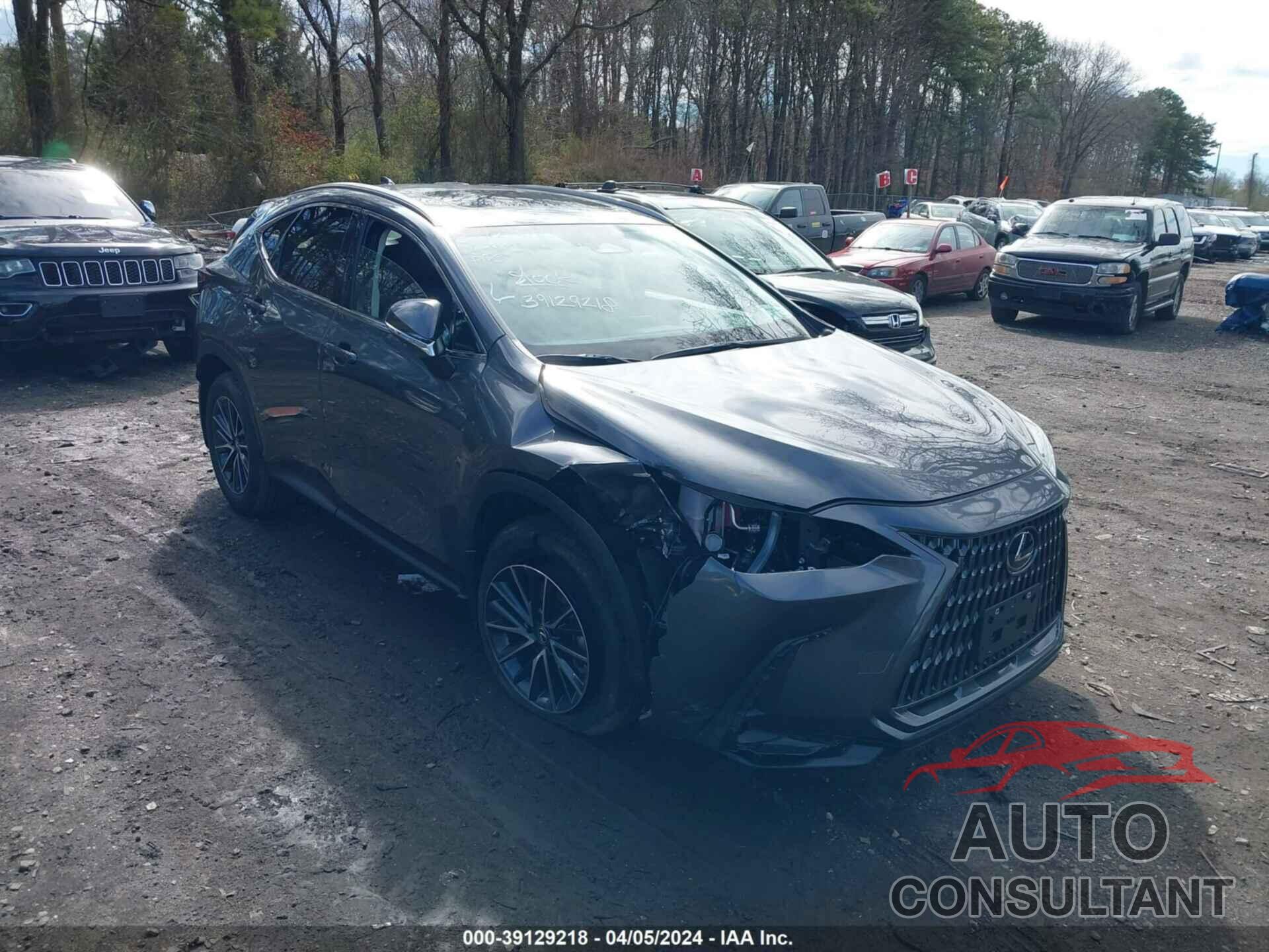 LEXUS NX 350 2024 - 2T2GGCEZ9RC058769