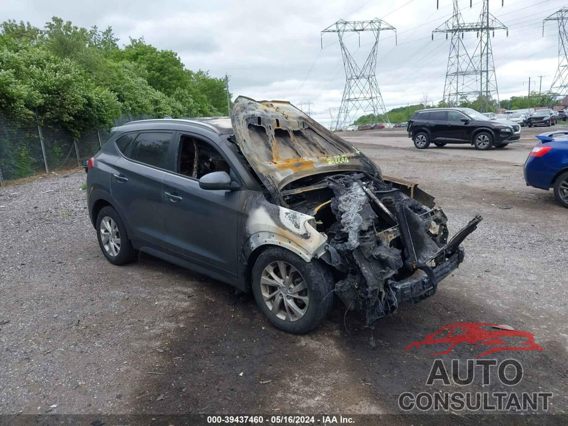 HYUNDAI TUCSON 2019 - KM8J3CA46KU842590