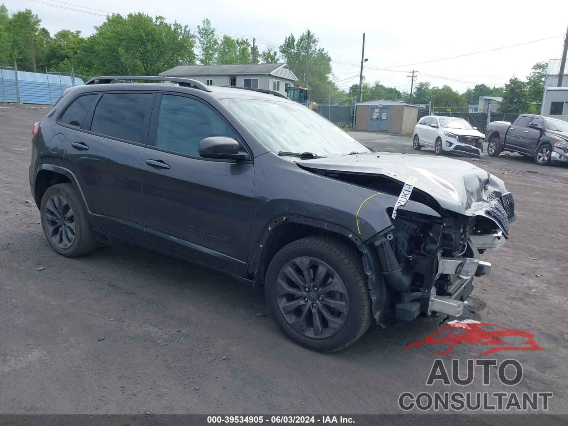 JEEP CHEROKEE 2019 - 1C4PJMDN7KD474693