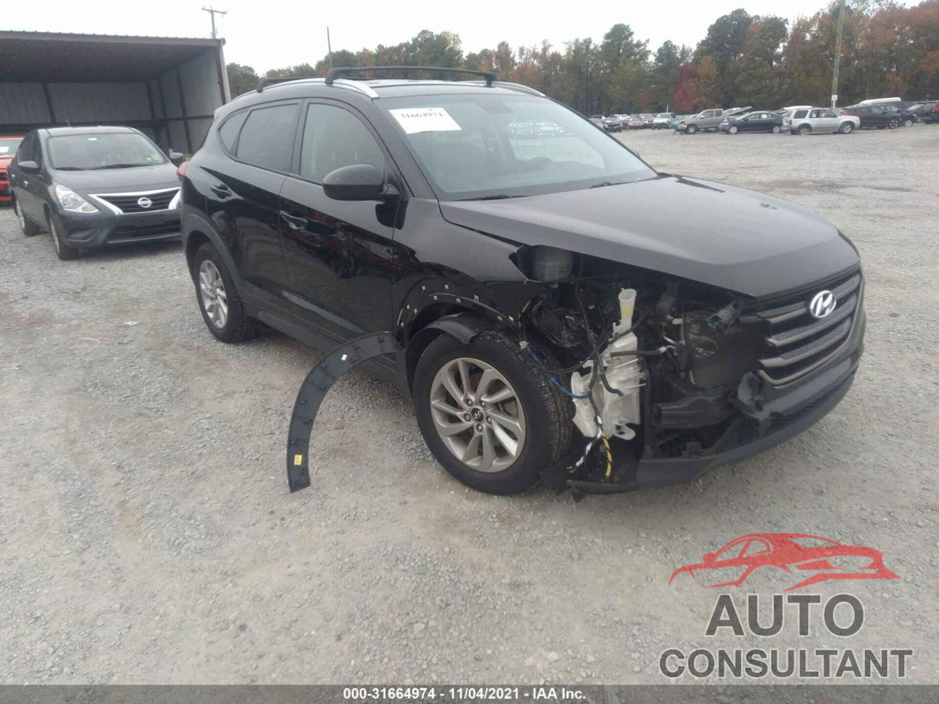 HYUNDAI TUCSON 2016 - KM8J33A41GU236203