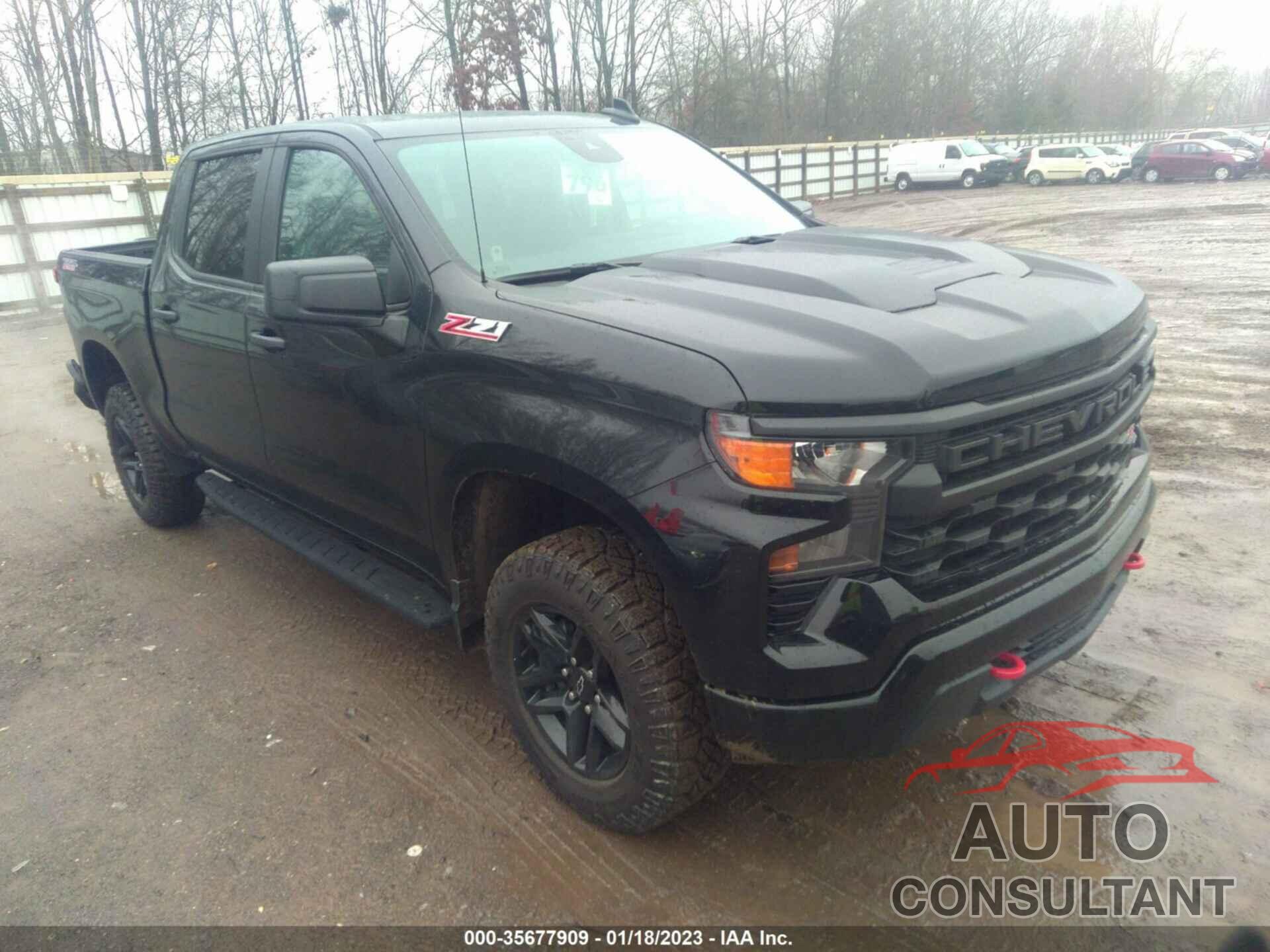 CHEVROLET SILVERADO 1500 2022 - 3GCPDCEK4NG669261