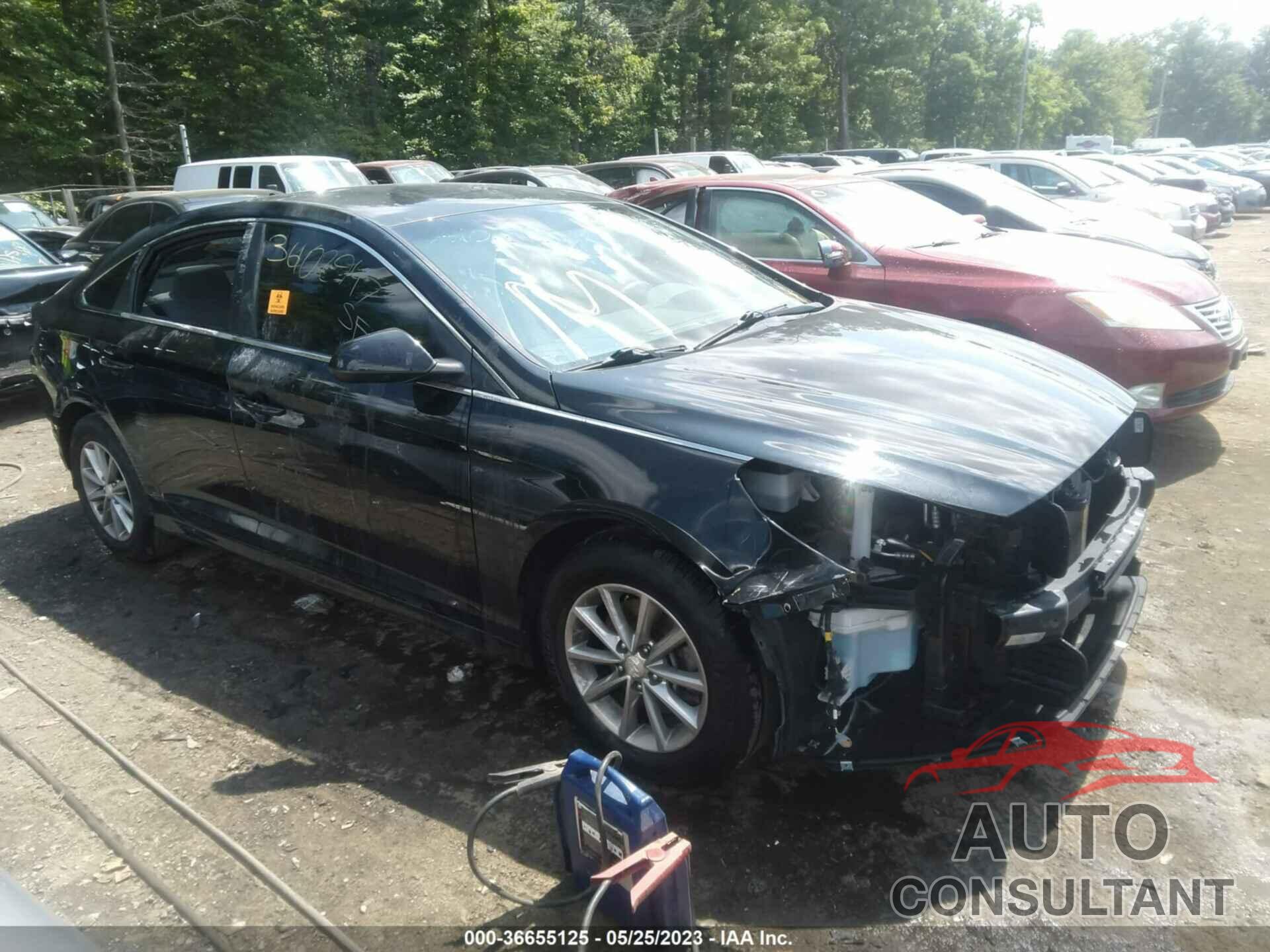 HYUNDAI SONATA 2018 - 5NPE24AF0JH697023