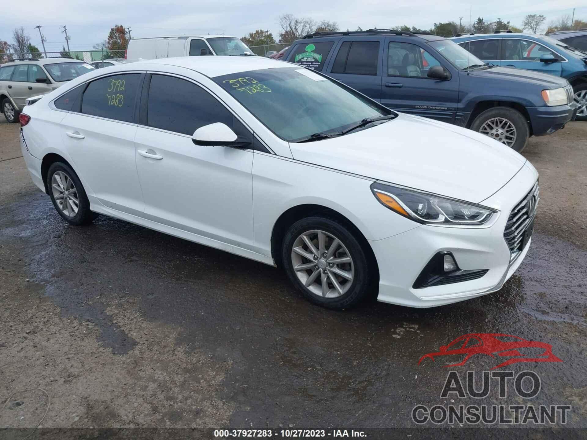 HYUNDAI SONATA 2019 - 5NPE24AF1KH756453