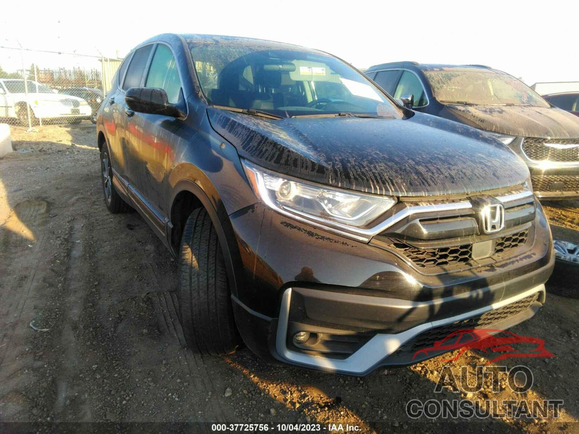 HONDA CR-V 2022 - 5J6RW2H51NA006564